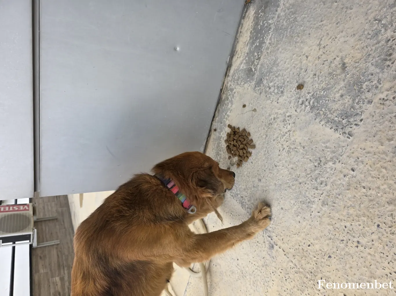 Sokican tarafından paylaşılan fotoğraf