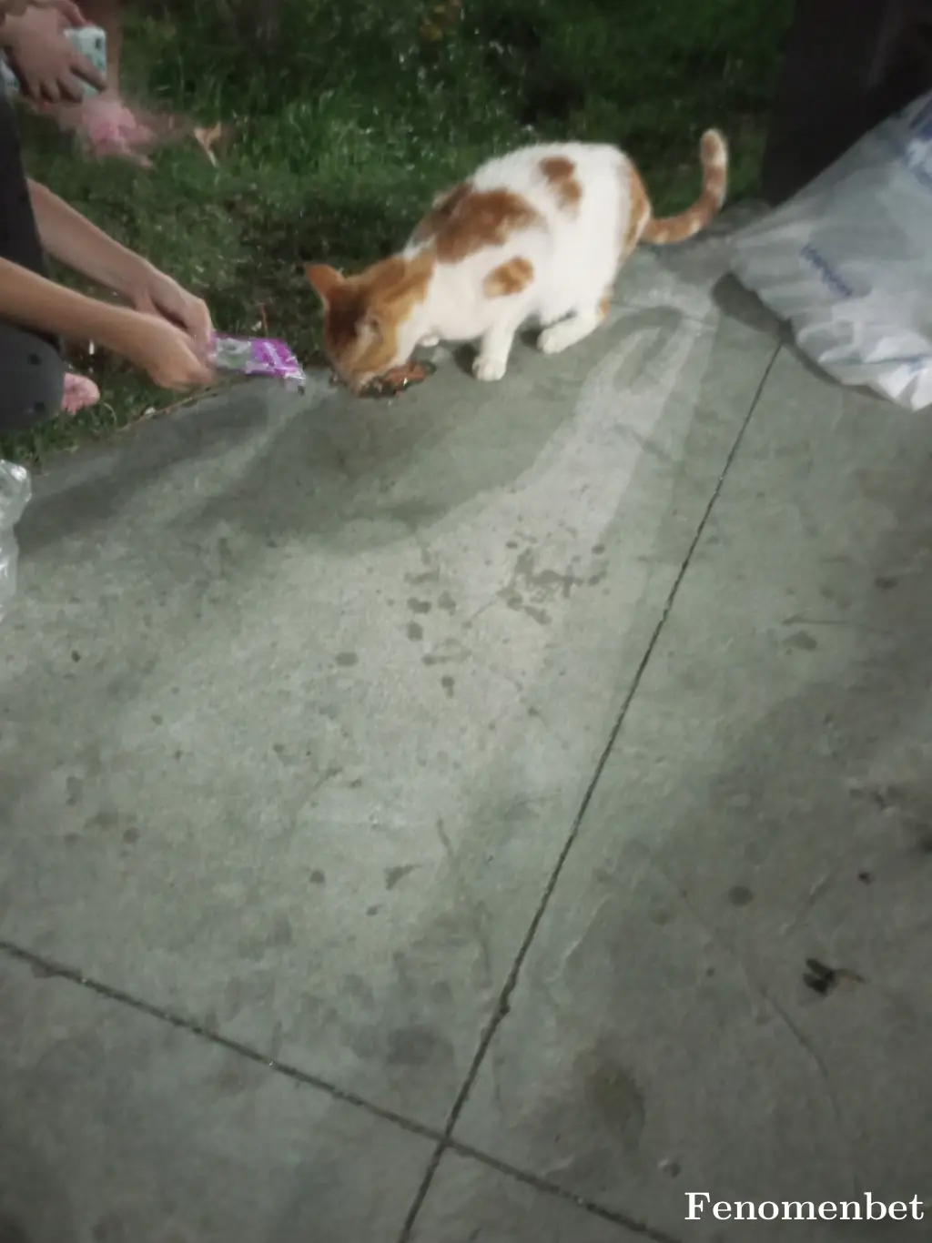 Bybilen123 tarafından paylaşılan fotoğraf