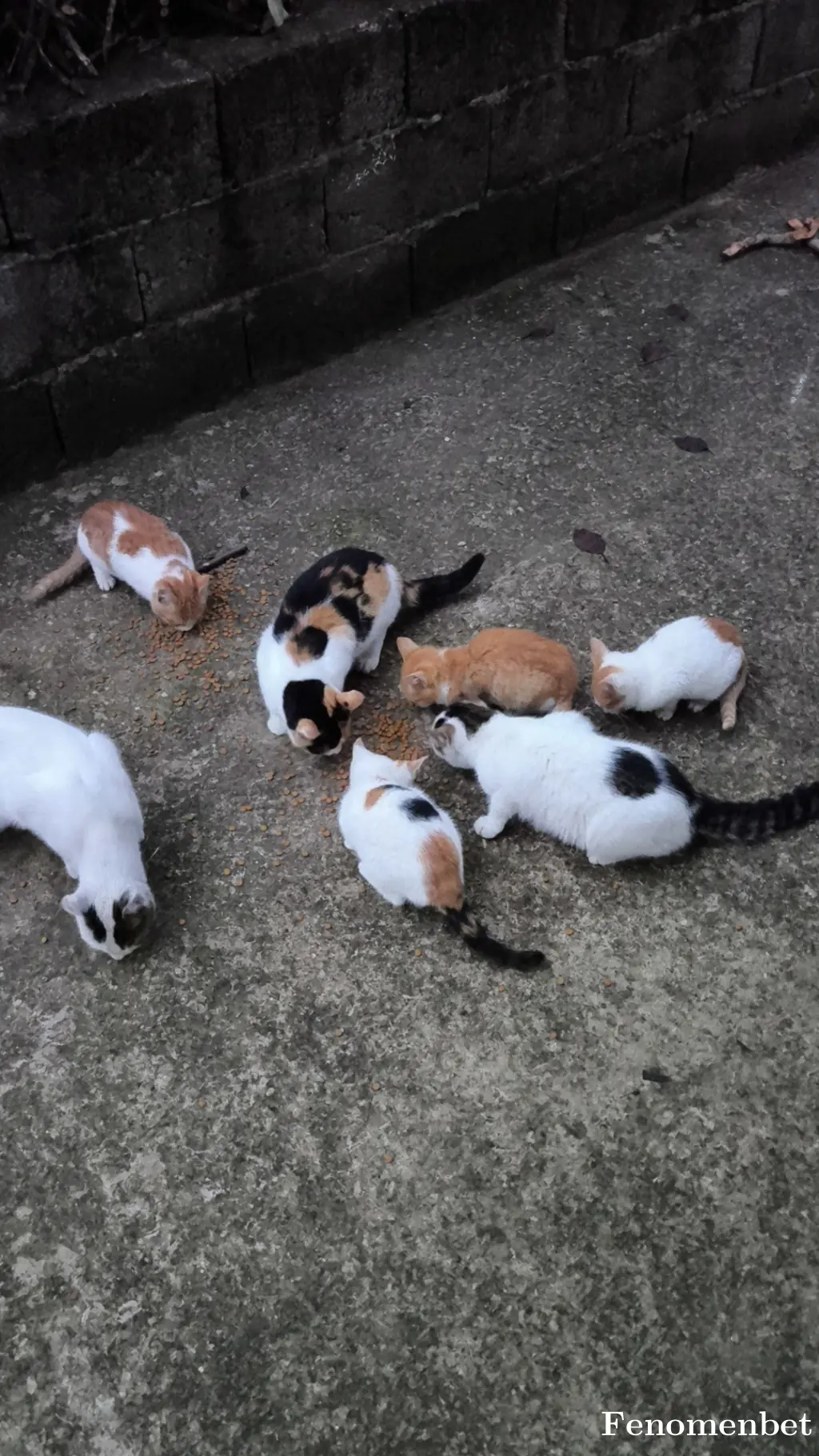 (rmzndmrby58) tarafından paylaşılan fotoğraf