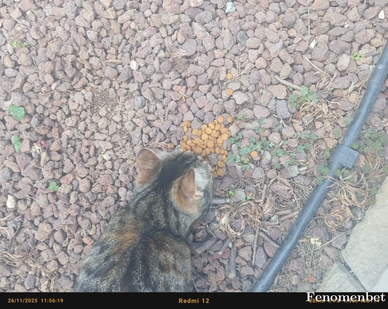 Balatapo06 tarafından paylaşılan fotoğraf