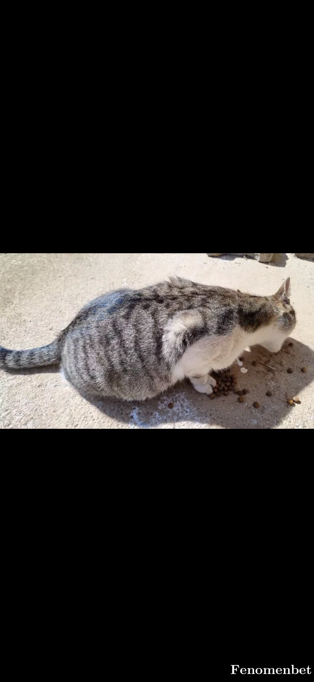 Polina520 tarafından paylaşılan fotoğraf