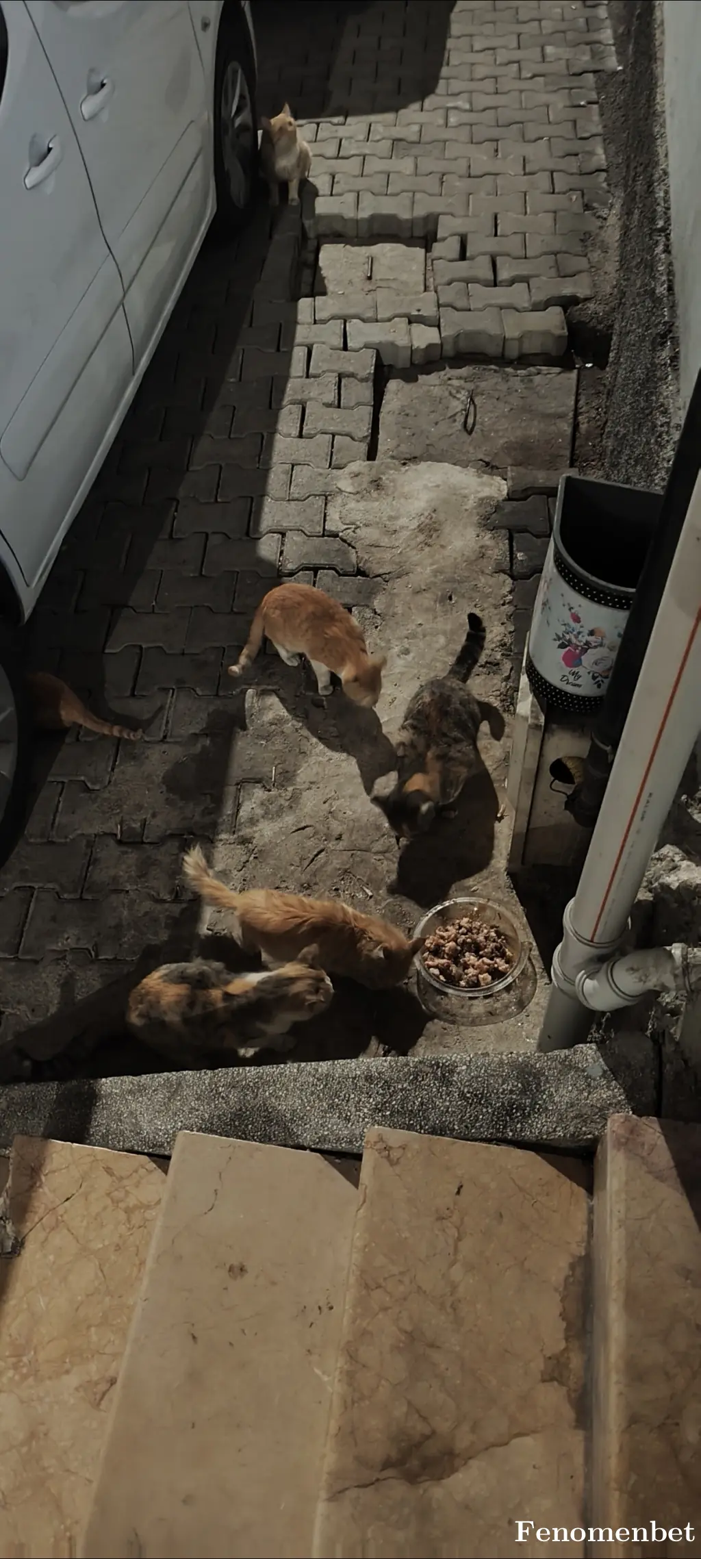 bllgns72 tarafından paylaşılan fotoğraf