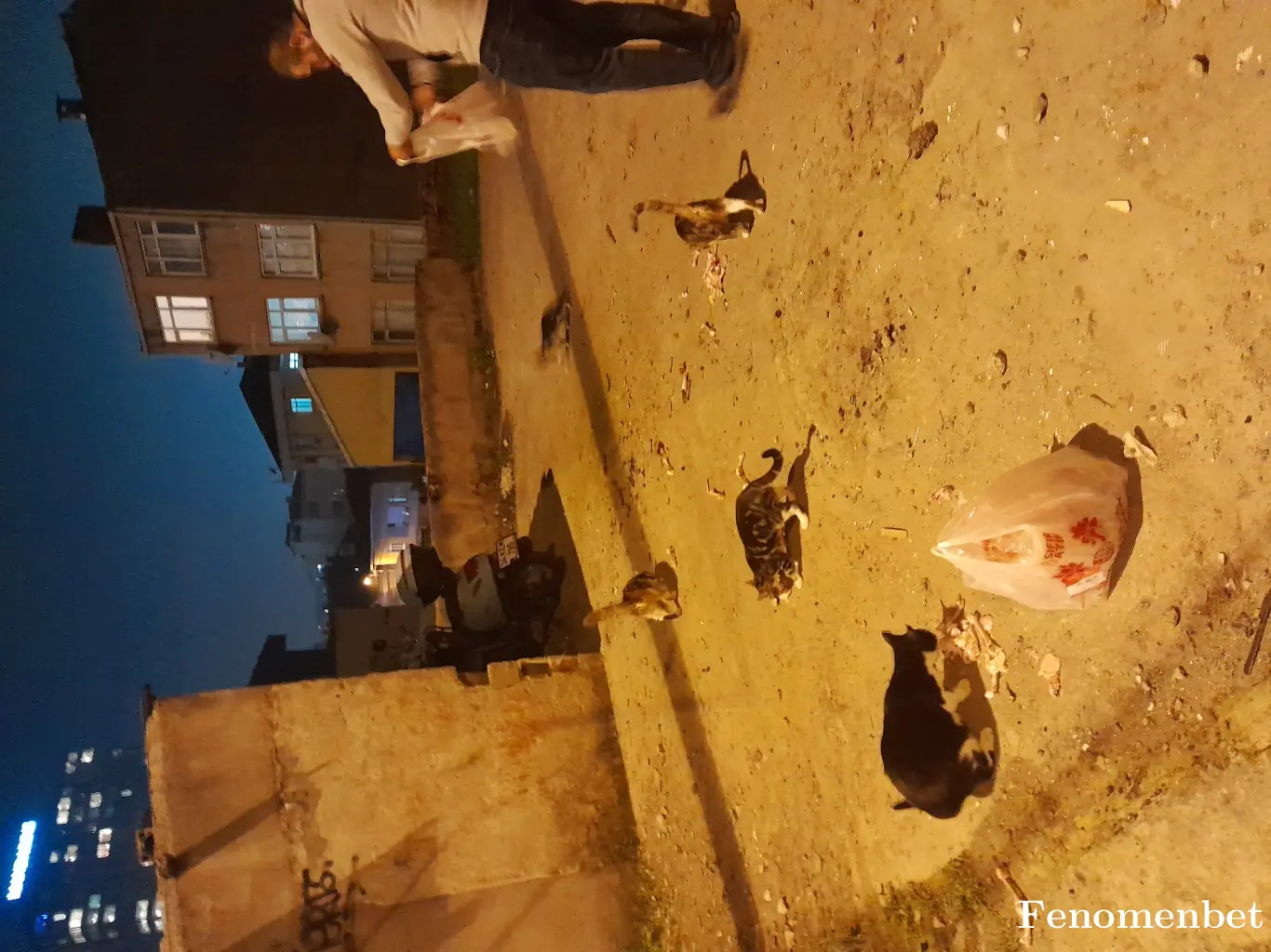 Miko19033 tarafından paylaşılan fotoğraf