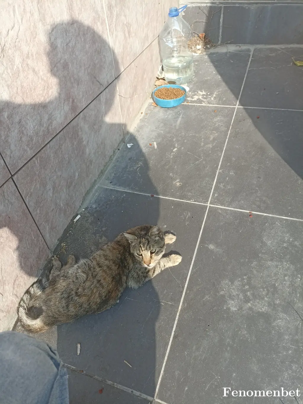 Kara1313 tarafından paylaşılan fotoğraf