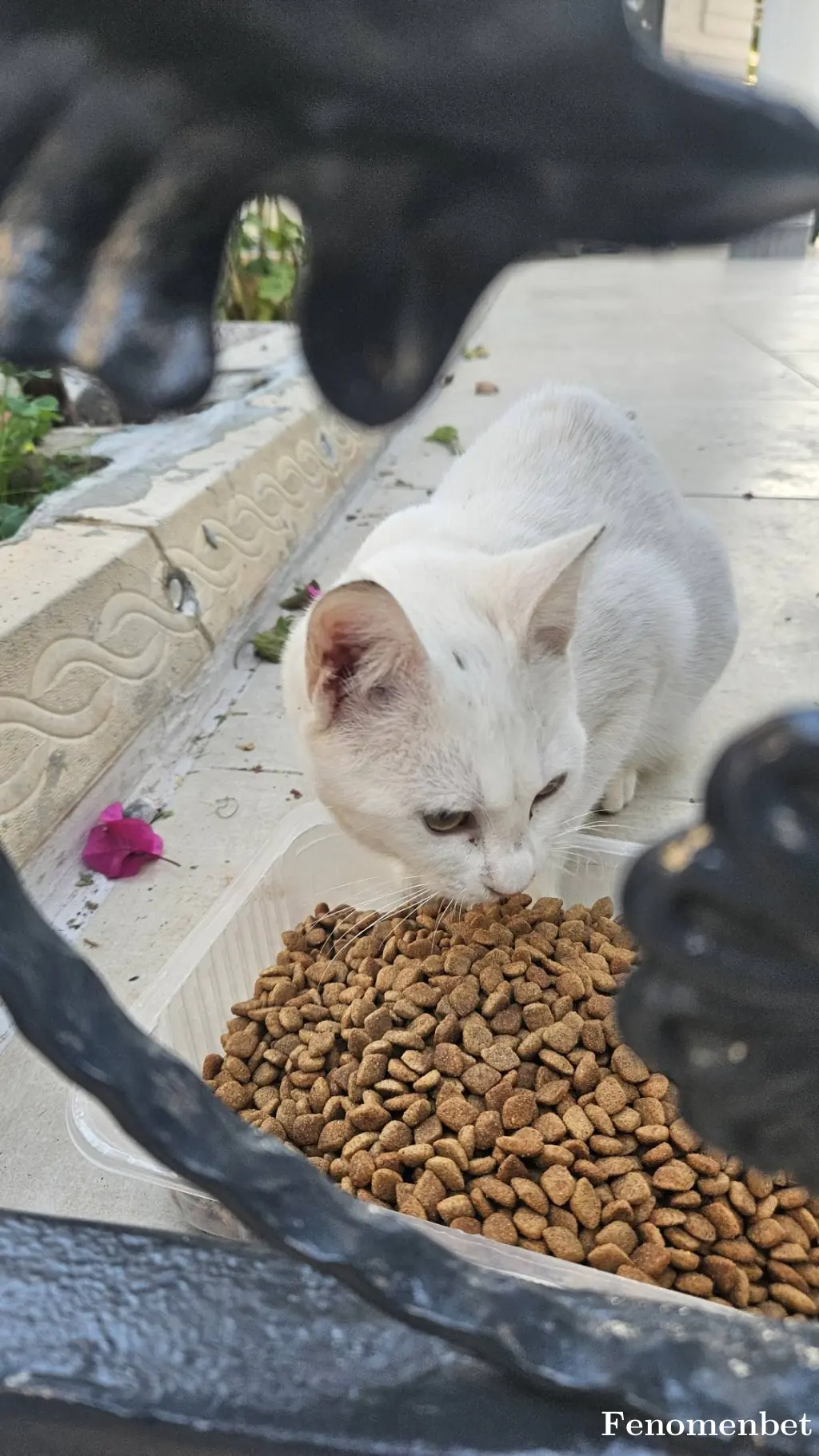 dogankb tarafından paylaşılan fotoğraf