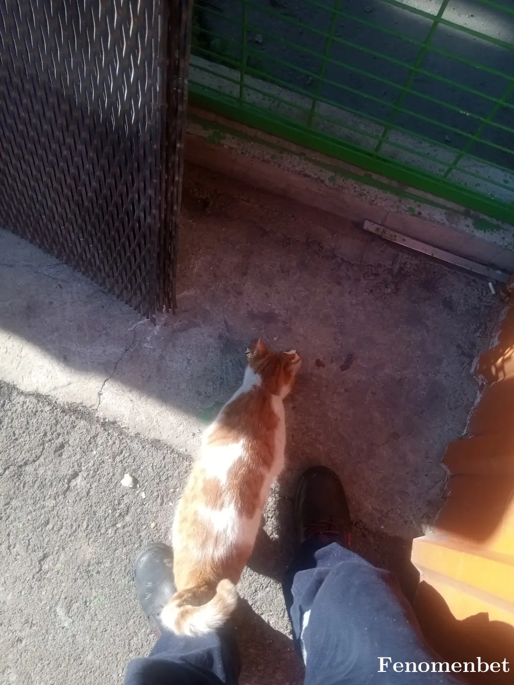 Kral5353 tarafından paylaşılan fotoğraf