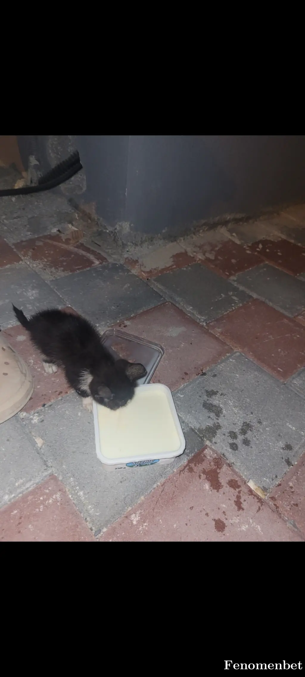 Huyu88 tarafından paylaşılan fotoğraf