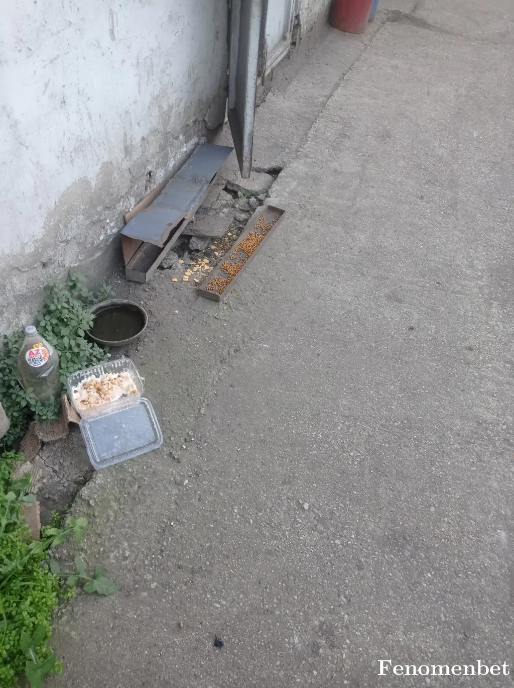 poser33 tarafından paylaşılan fotoğraf