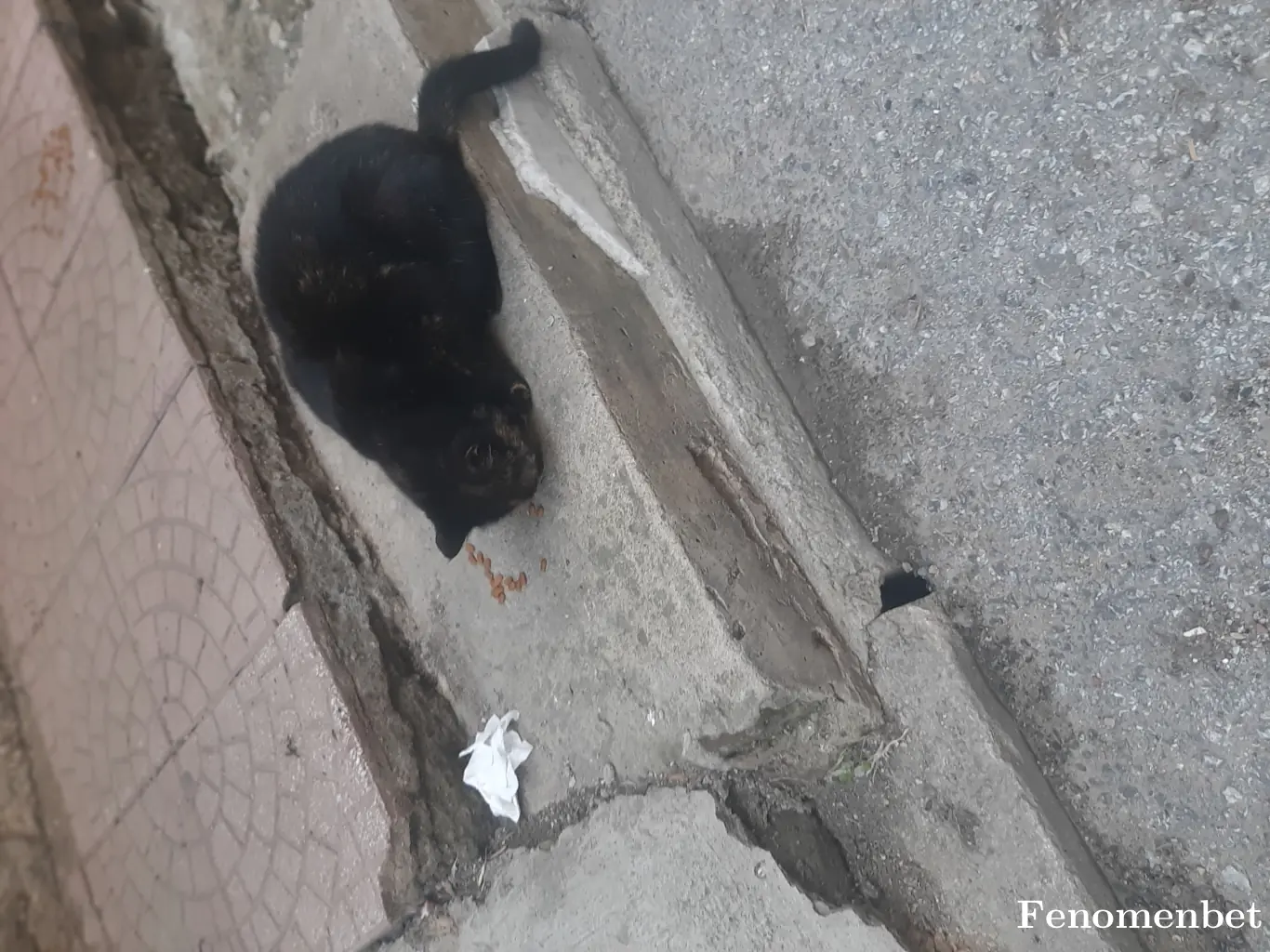 Kas1634 tarafından paylaşılan fotoğraf