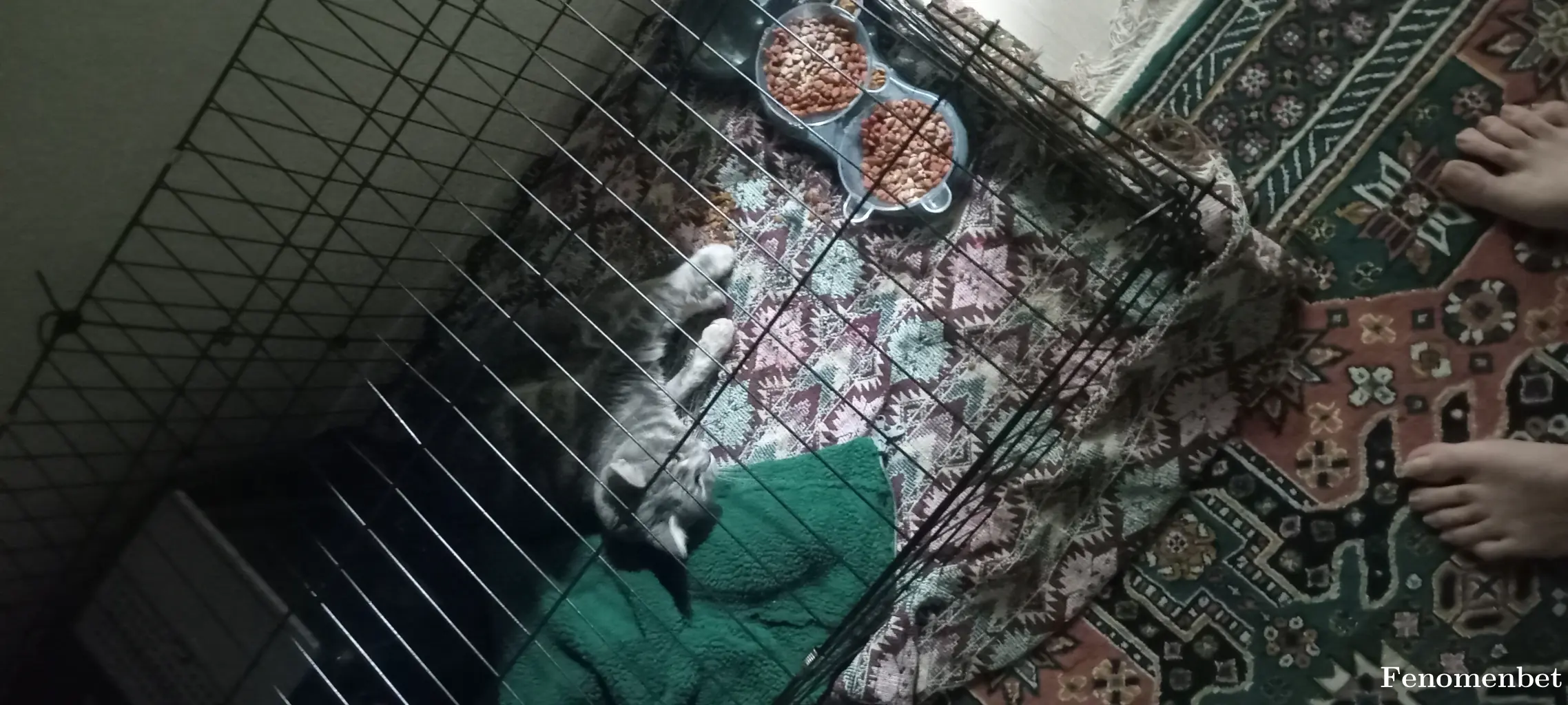 Mtolu34 tarafından paylaşılan fotoğraf