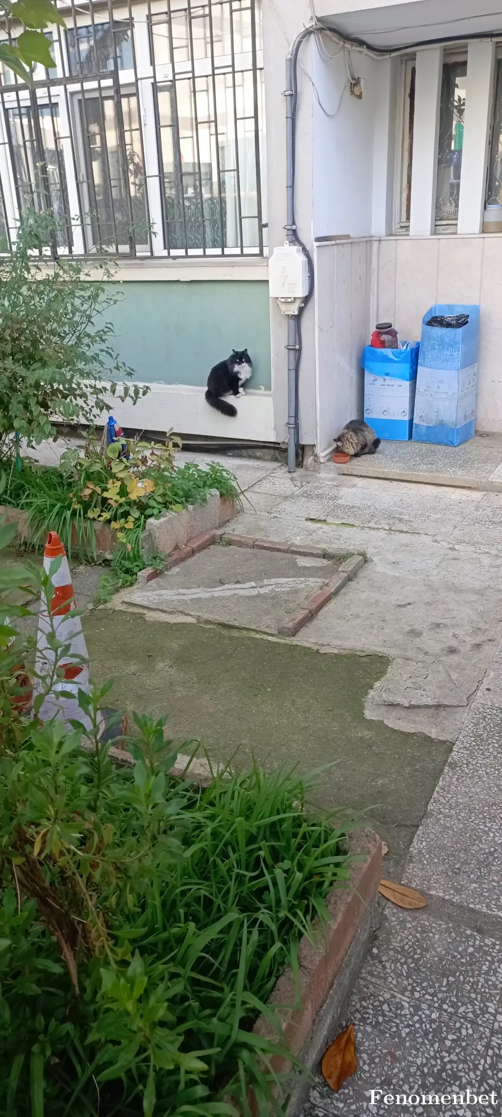 Selocano1 tarafından paylaşılan fotoğraf