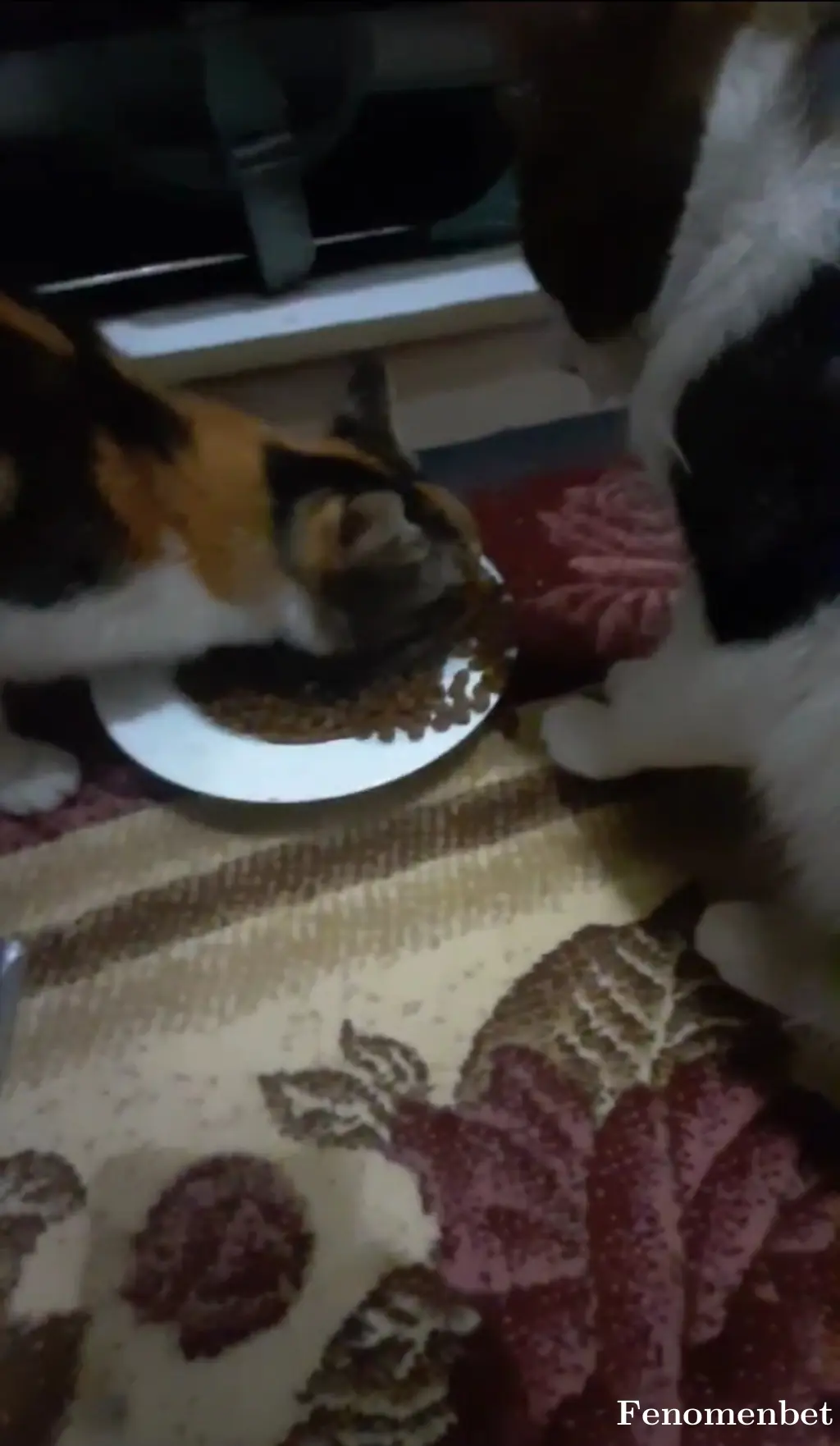 Apostm41 tarafından paylaşılan fotoğraf