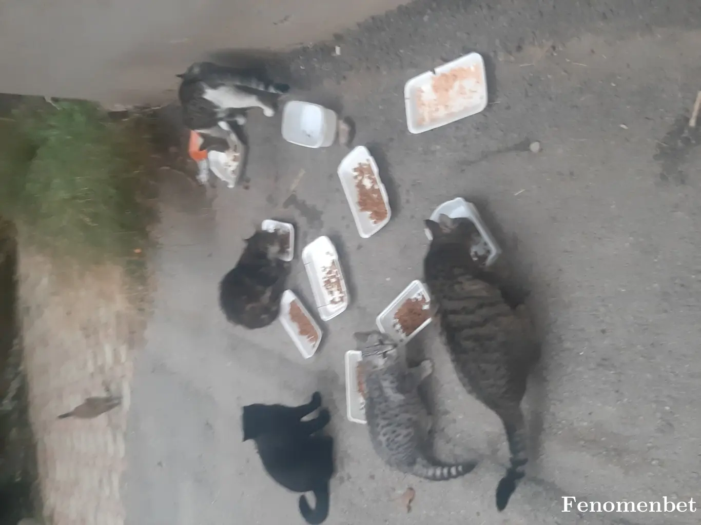 Busra166 tarafından paylaşılan fotoğraf