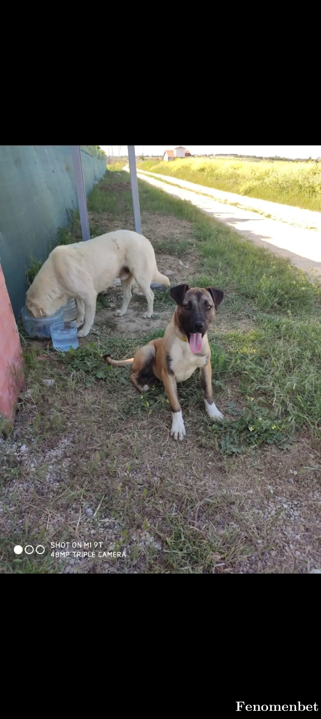 Gybmehmet tarafından paylaşılan fotoğraf