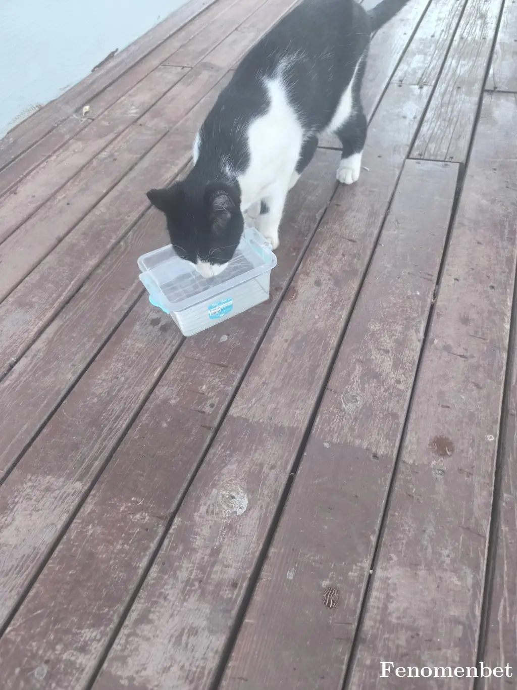 Bugraaaaa01 tarafından paylaşılan fotoğraf