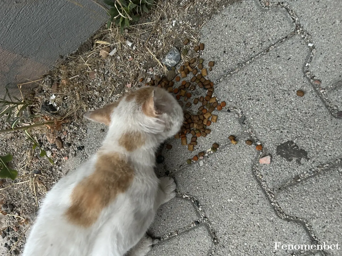 Melos02 tarafından paylaşılan fotoğraf