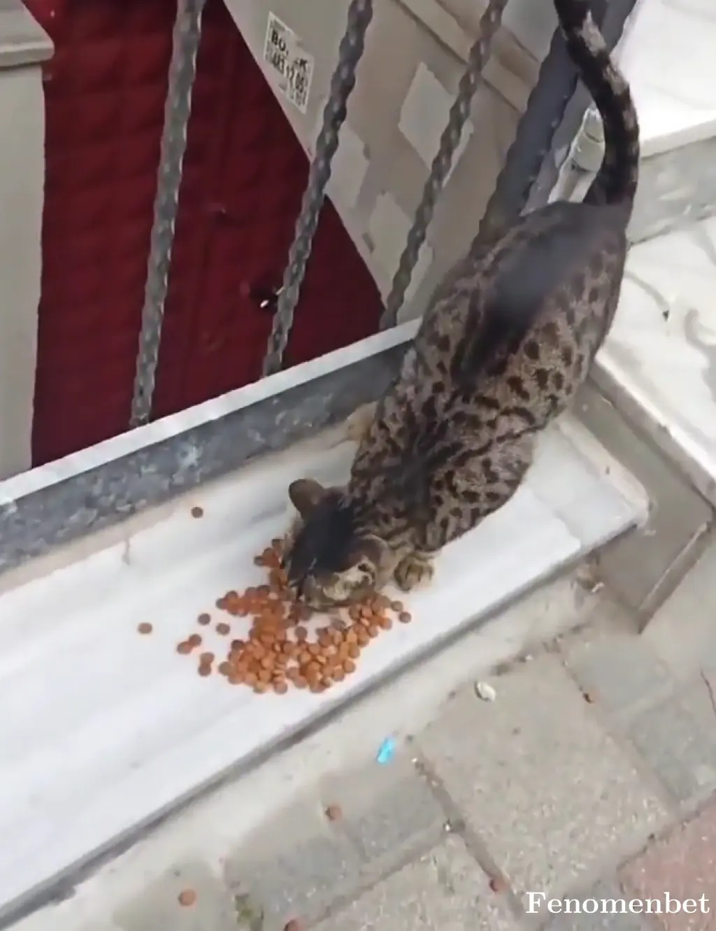 Berat060106 tarafından paylaşılan fotoğraf