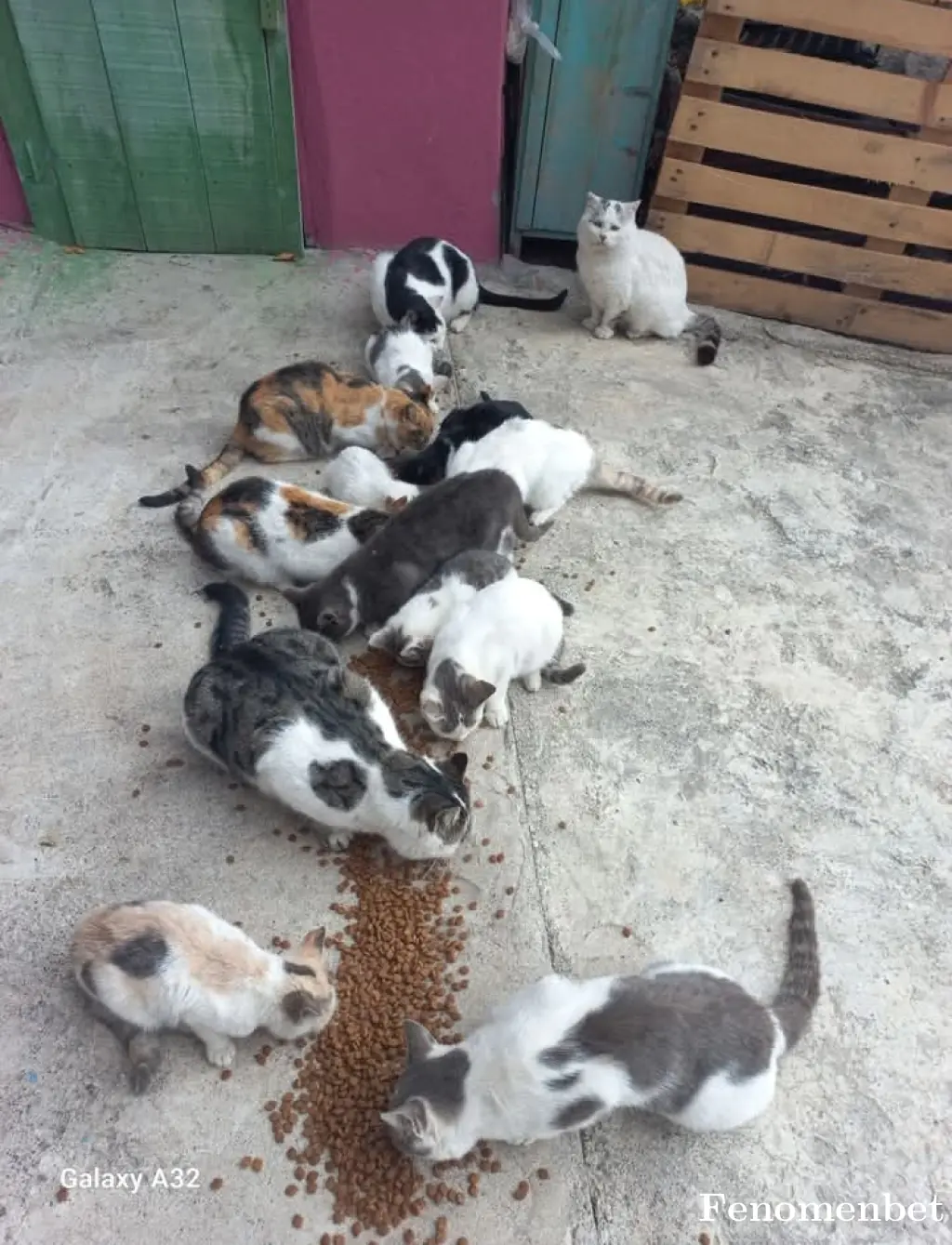 Kuryeee tarafından paylaşılan fotoğraf