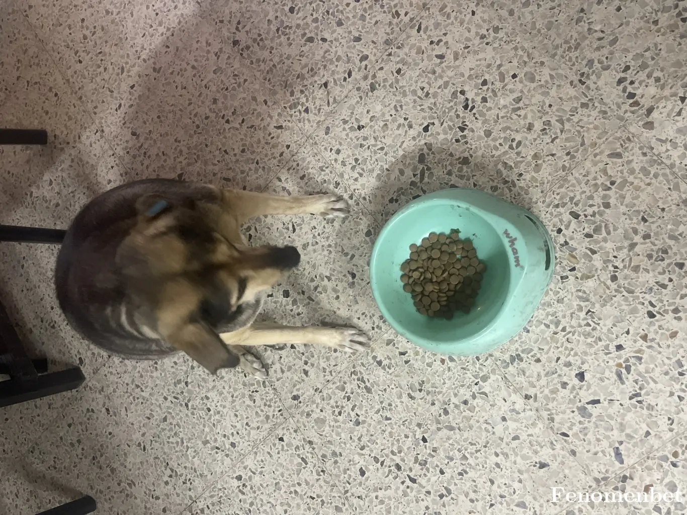 Mhtpck tarafından paylaşılan fotoğraf