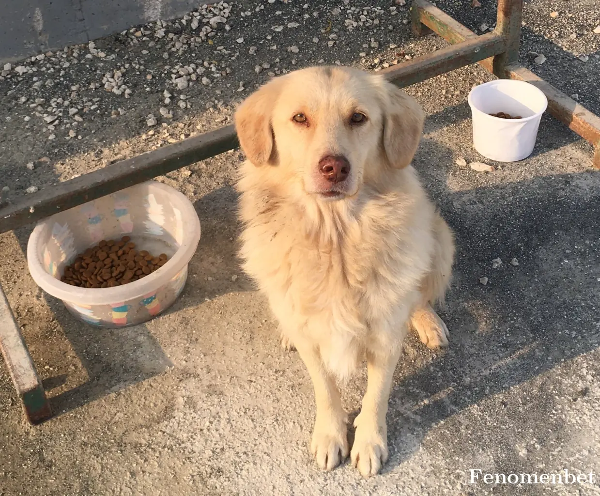 Akturk33 tarafından paylaşılan fotoğraf