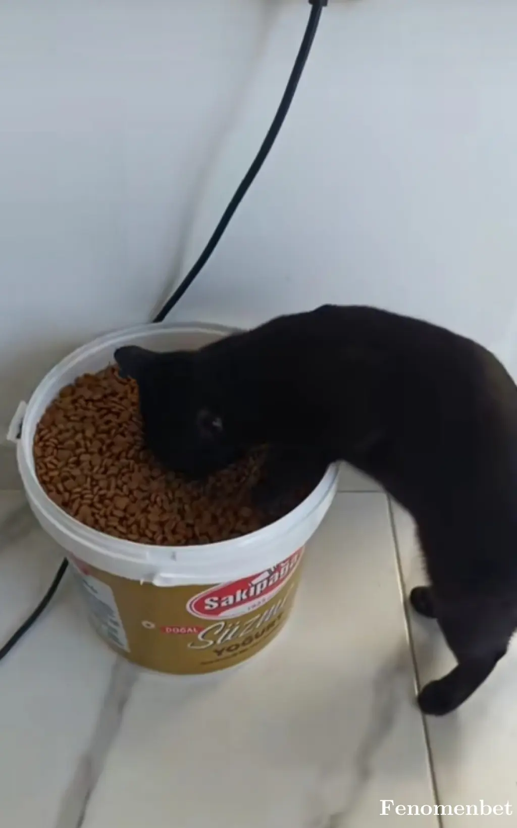 Esin46 tarafından paylaşılan fotoğraf