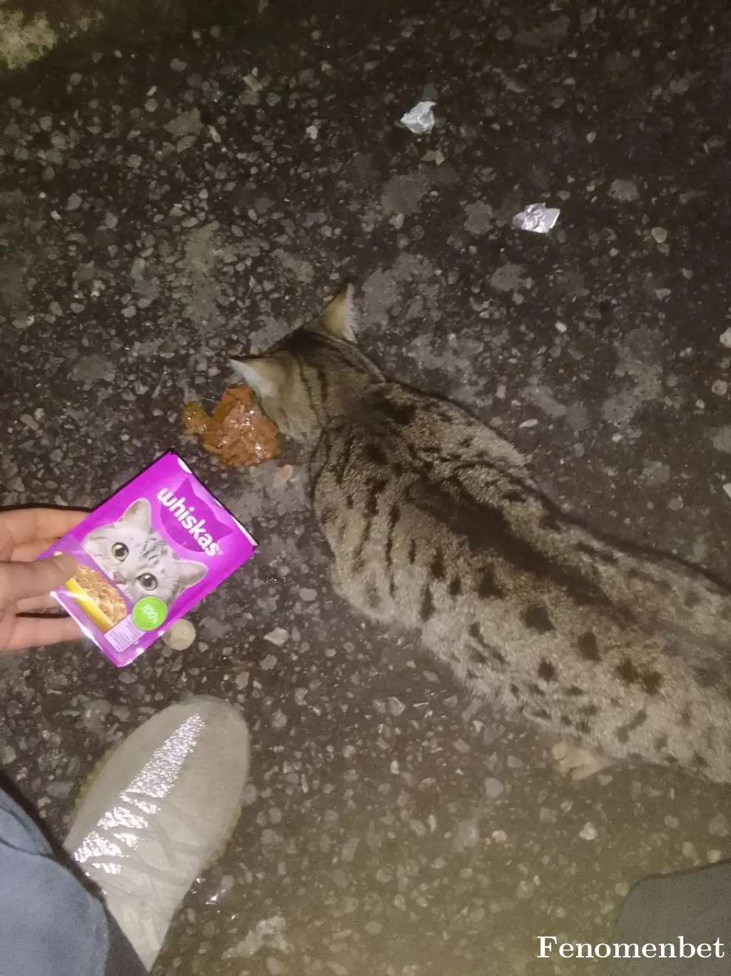 mertreynna tarafından paylaşılan fotoğraf