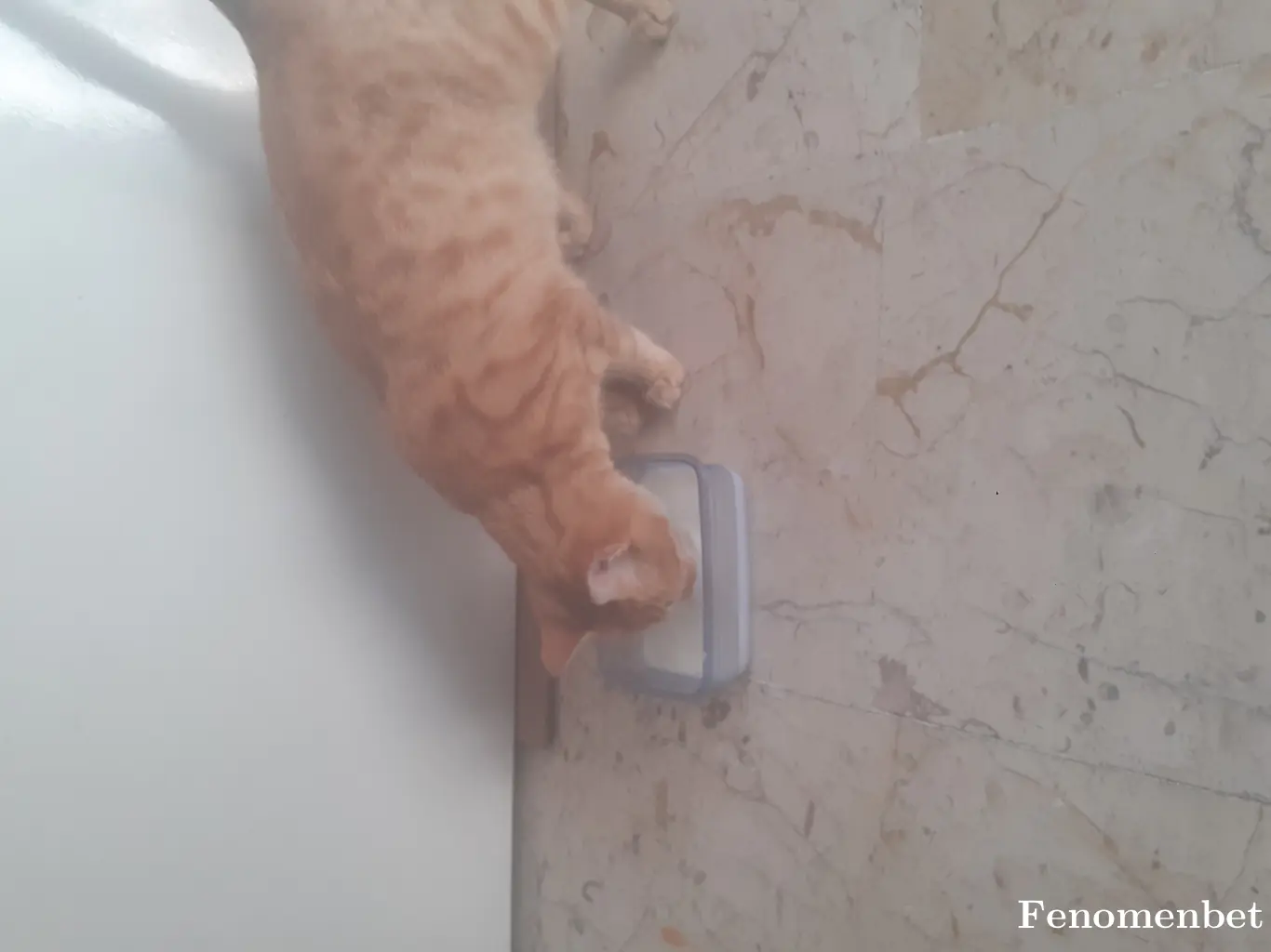 Sedaagok tarafından paylaşılan fotoğraf