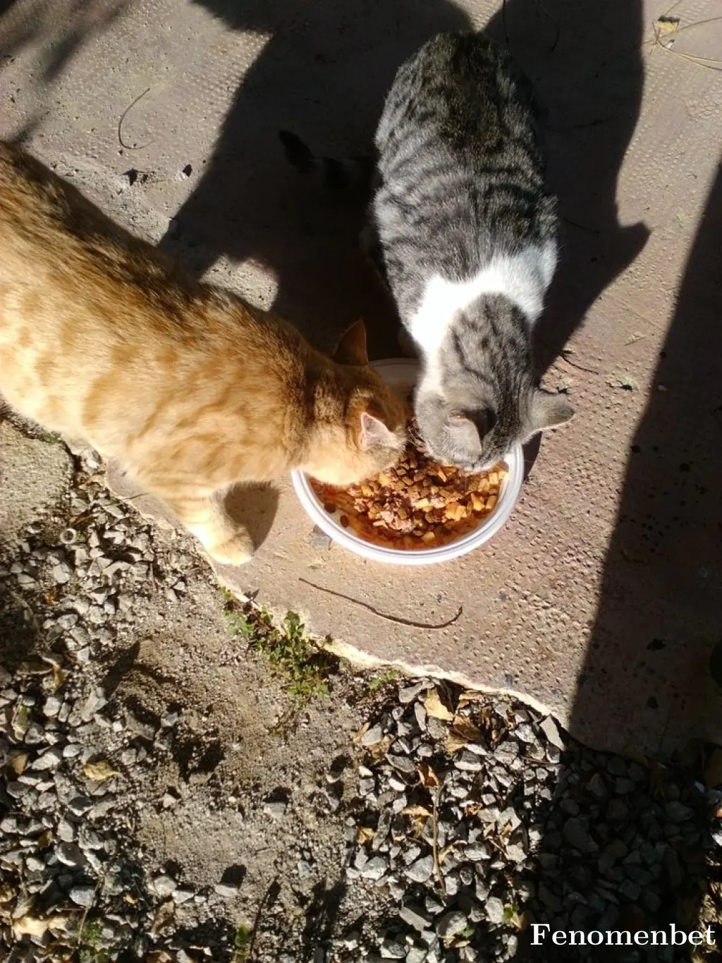 Ugurersr tarafından paylaşılan fotoğraf