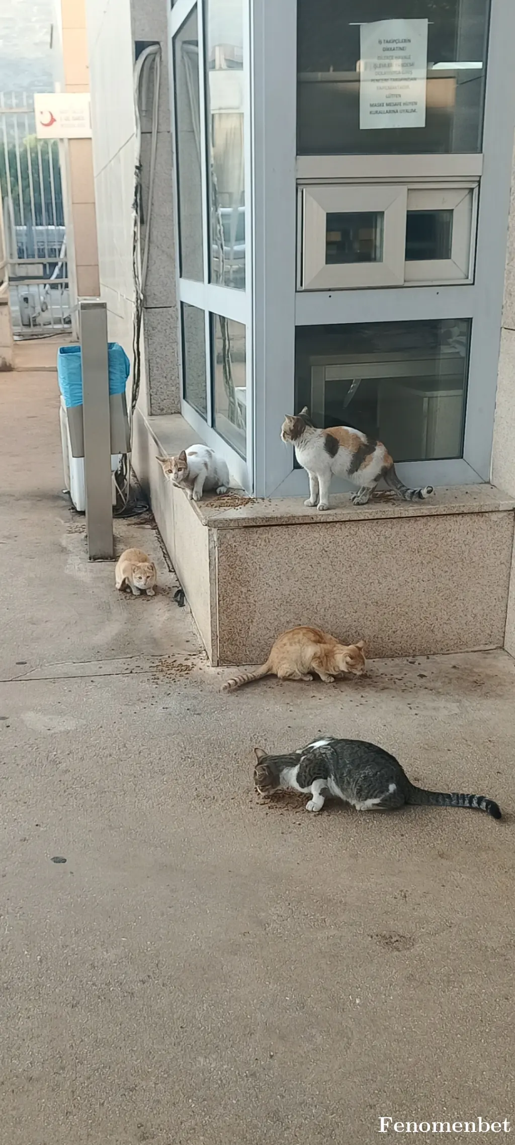 mehmet27 tarafından paylaşılan fotoğraf