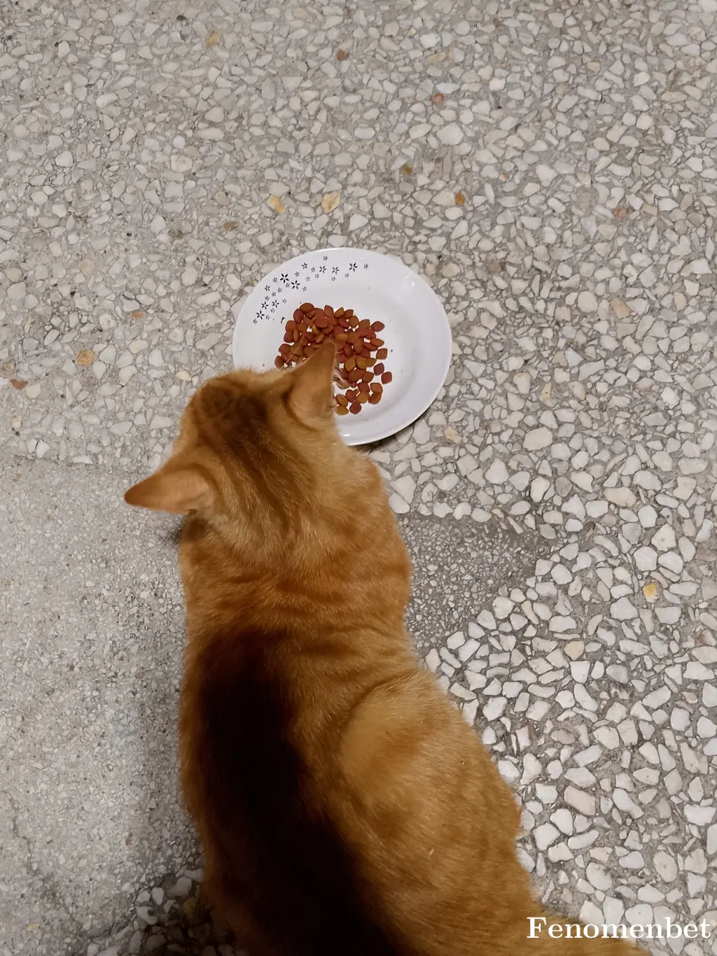 Uqurerrr tarafından paylaşılan fotoğraf