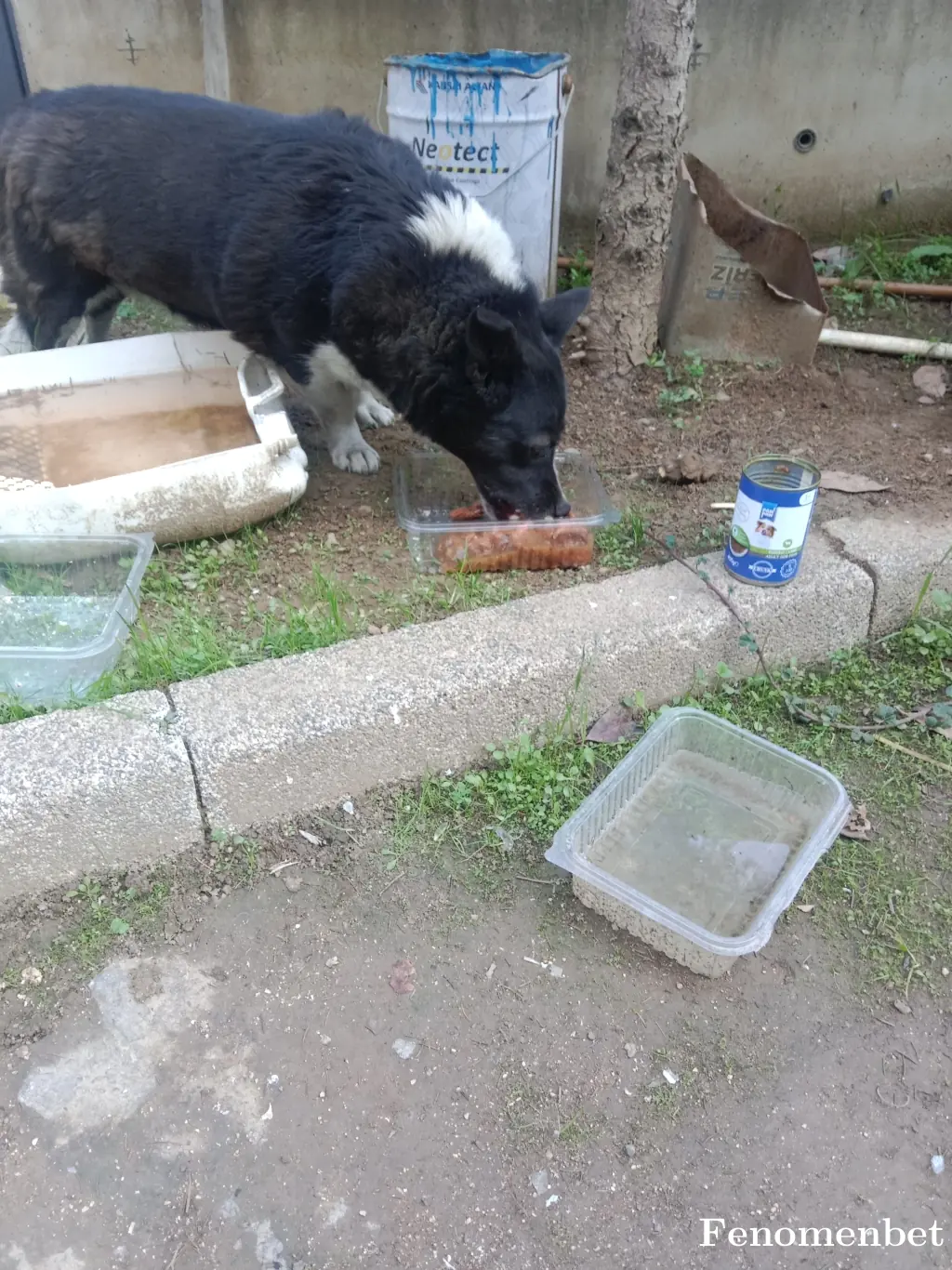 Ersin819944 tarafından paylaşılan fotoğraf