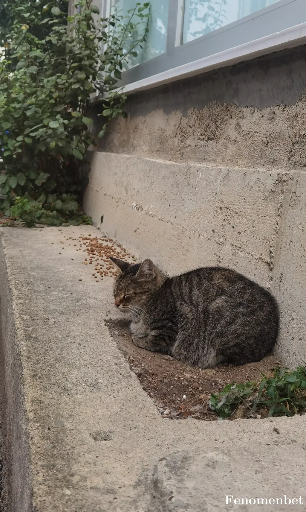Berfin166 tarafından paylaşılan fotoğraf