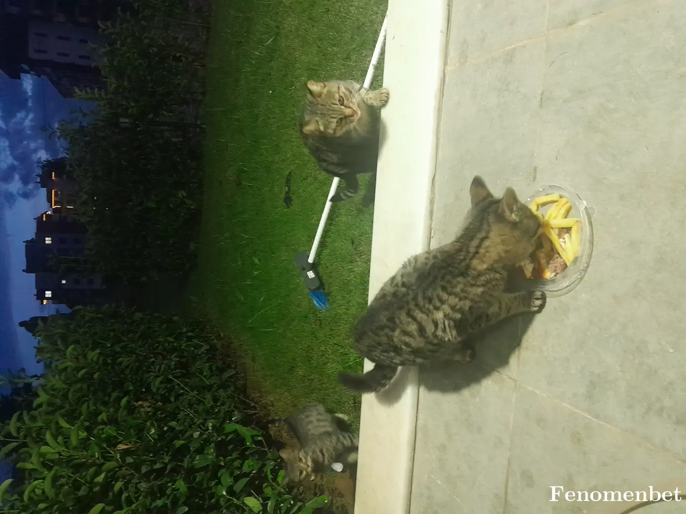 Kelebek1205  tarafından paylaşılan fotoğraf