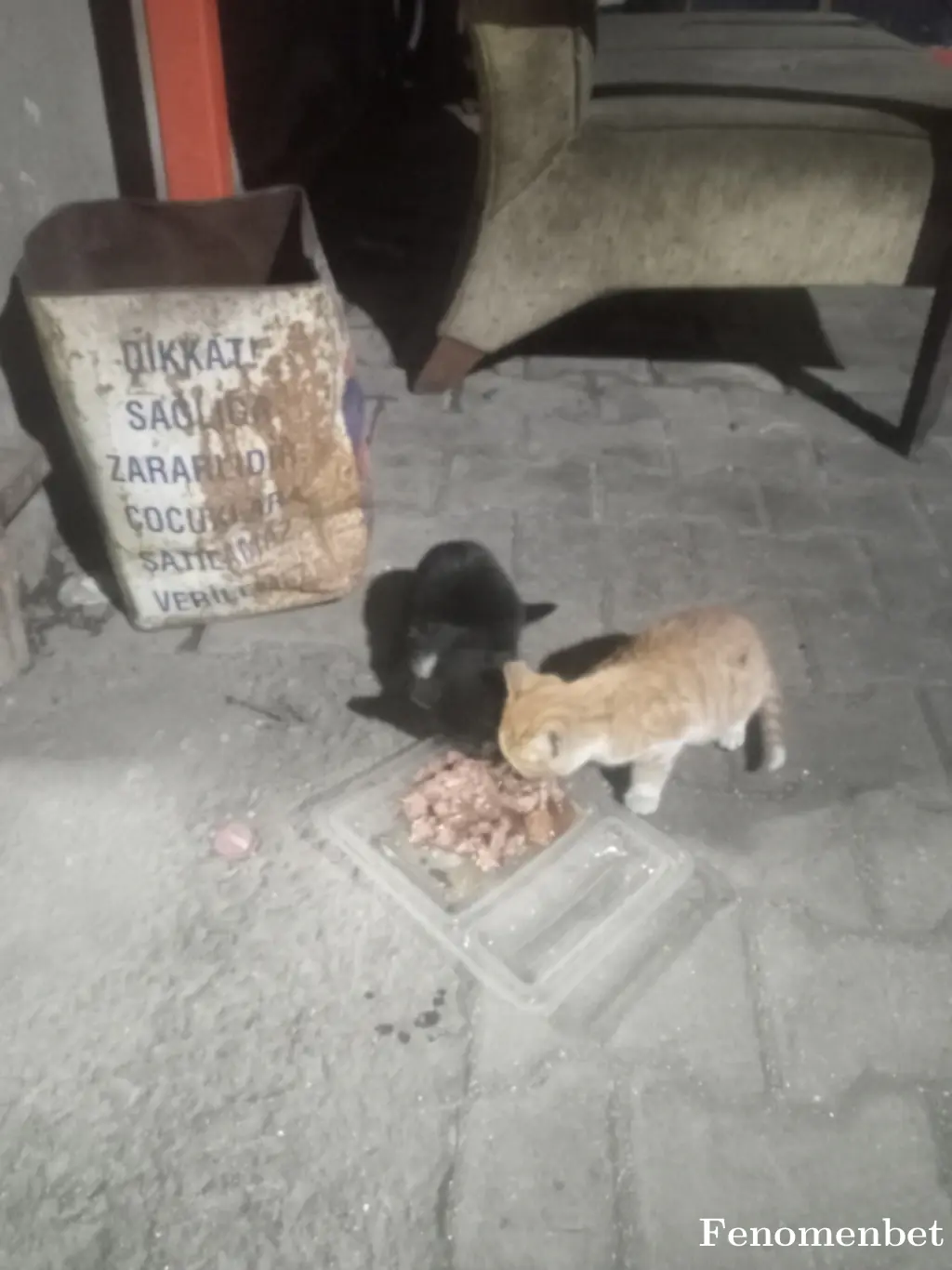 Lazitami tarafından paylaşılan fotoğraf