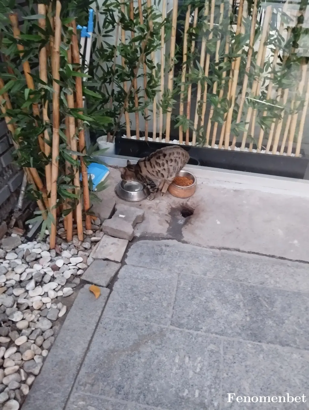 Krcml tarafından paylaşılan fotoğraf