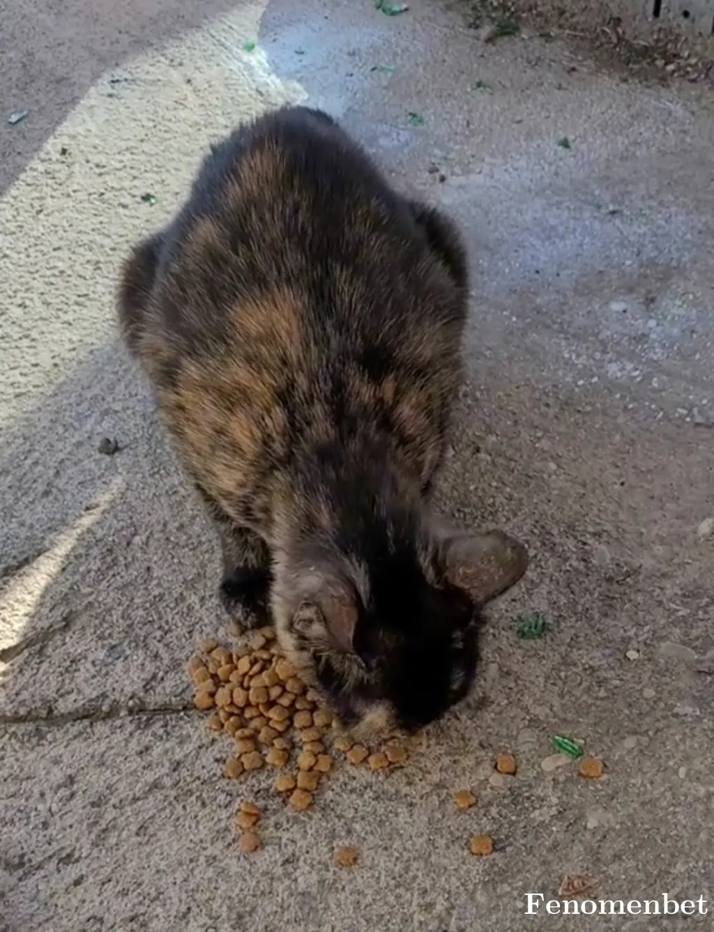 Necoklc tarafından paylaşılan fotoğraf