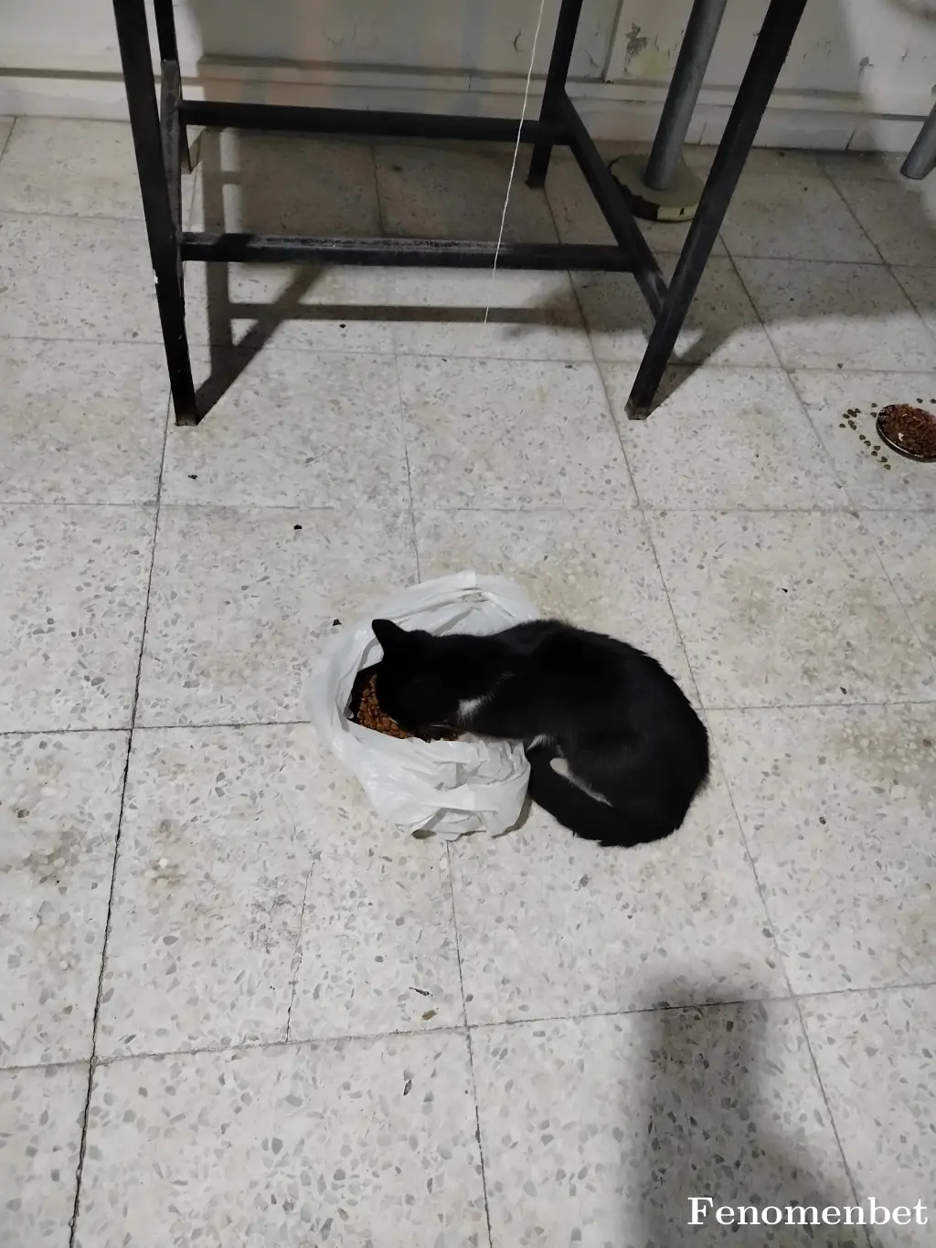 Cagdasergin tarafından paylaşılan fotoğraf