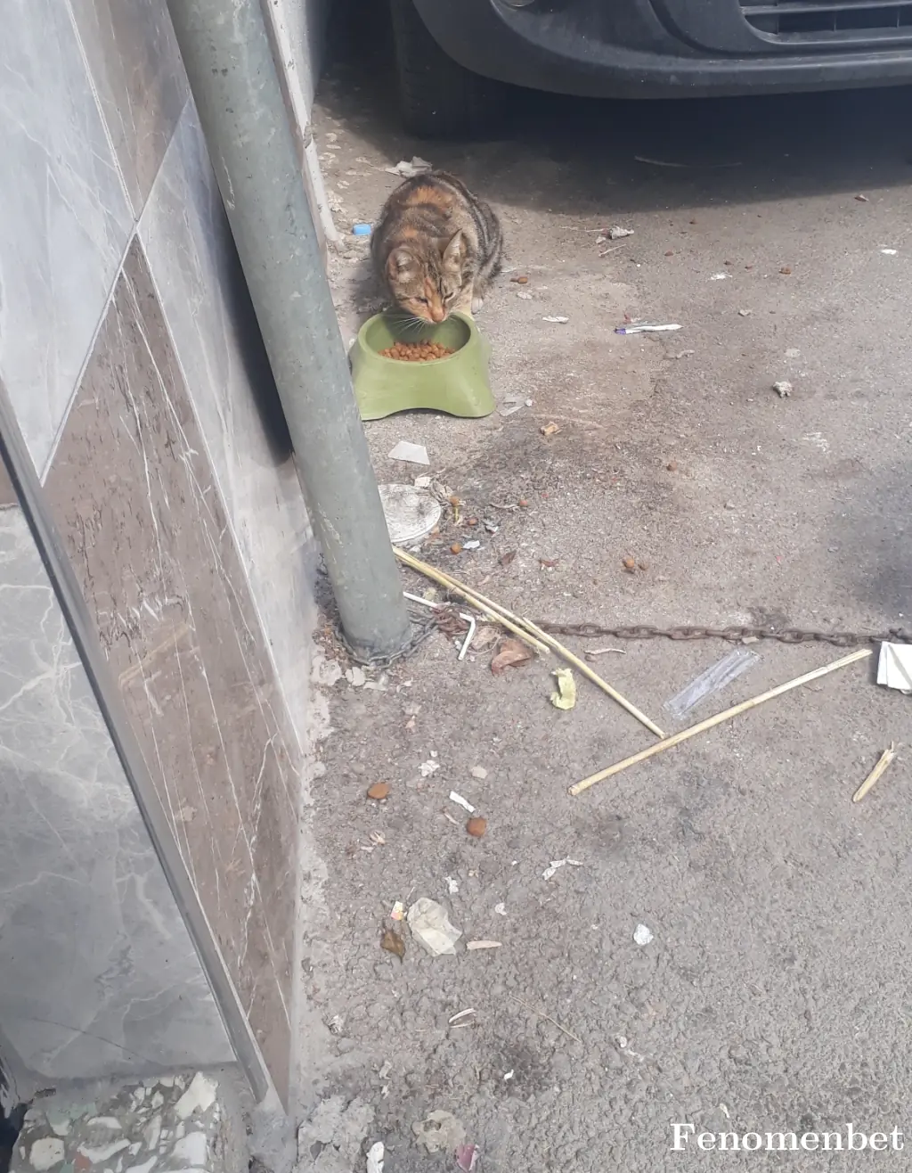 Taner616 tarafından paylaşılan fotoğraf