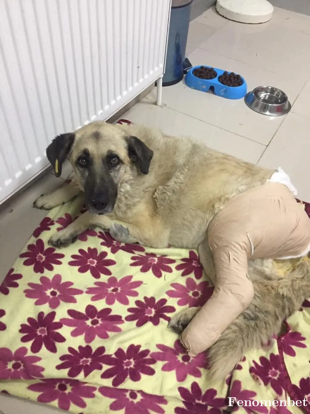 omer434343 tarafından paylaşılan fotoğraf