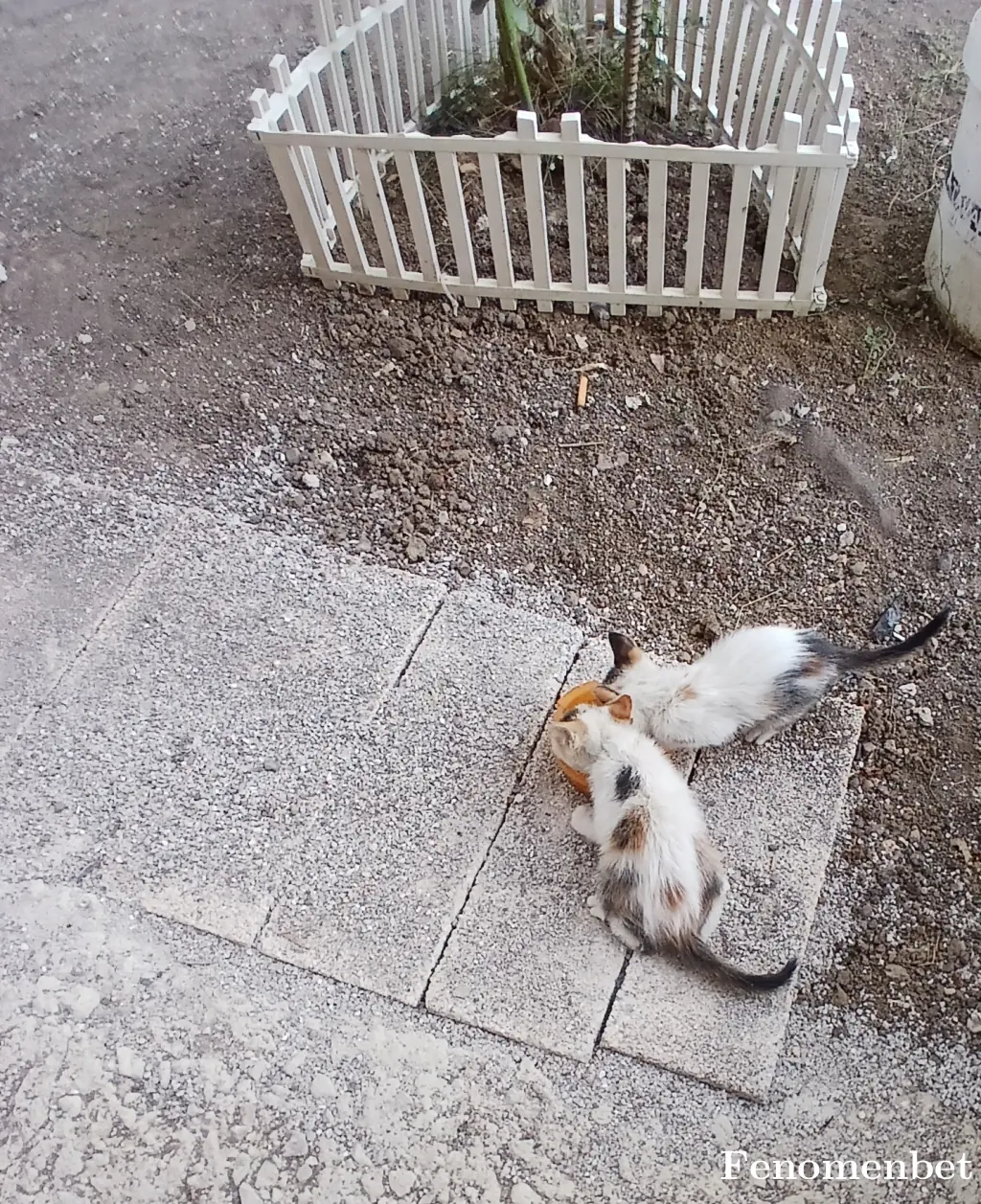 Kubra5206 tarafından paylaşılan fotoğraf