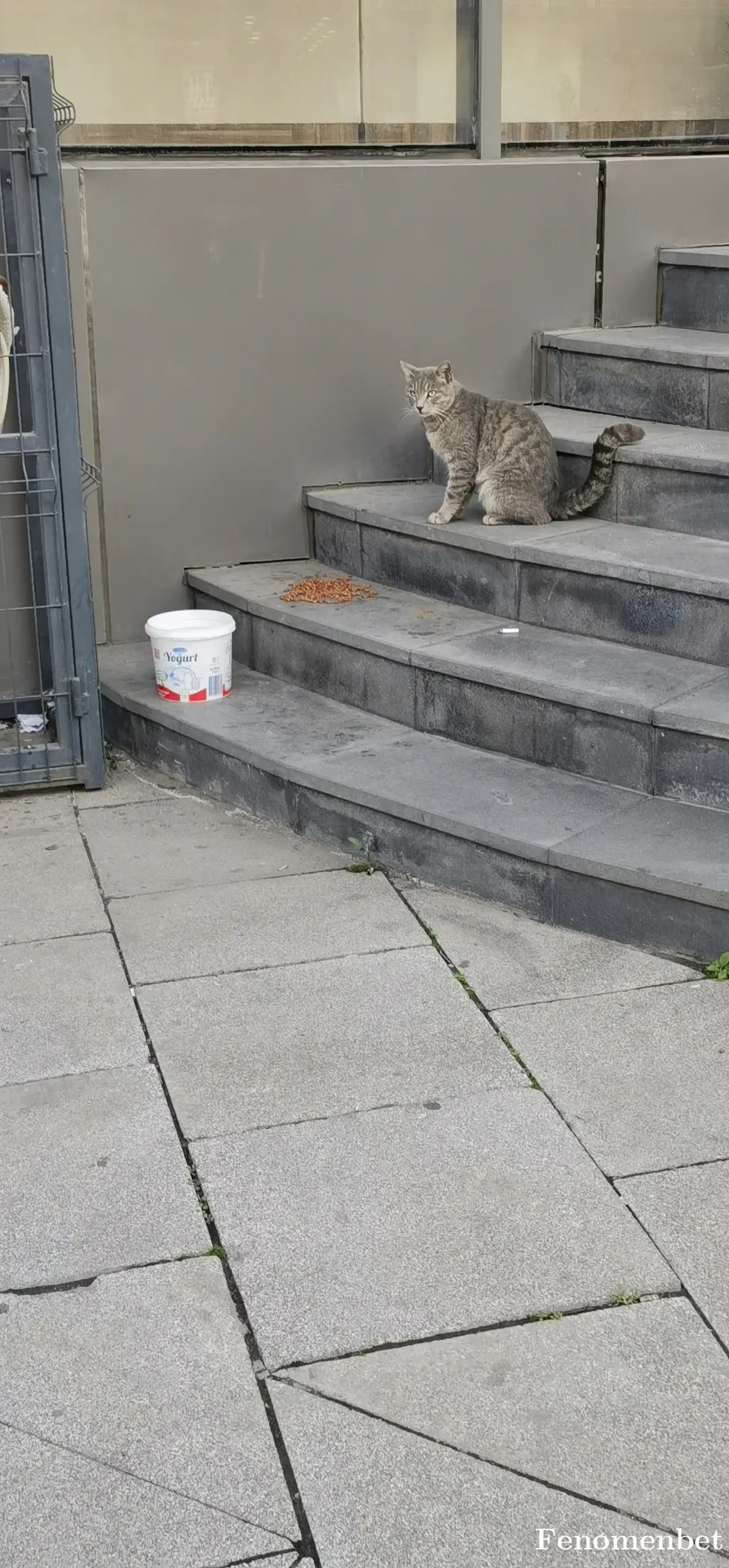 Exsalans  tarafından paylaşılan fotoğraf