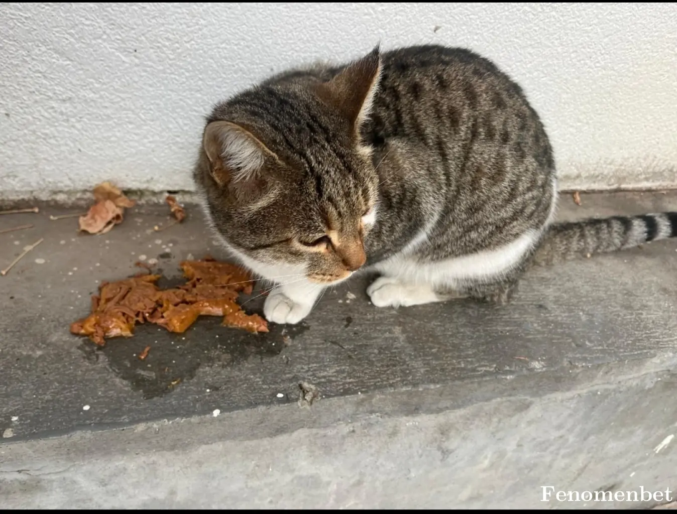 izhar30 tarafından paylaşılan fotoğraf