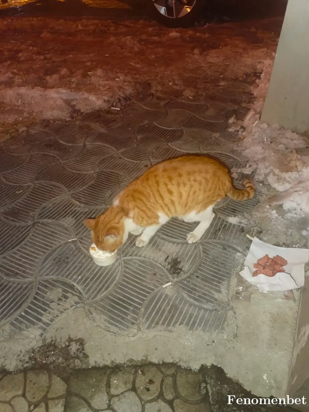 Mustafa1978 tarafından paylaşılan fotoğraf