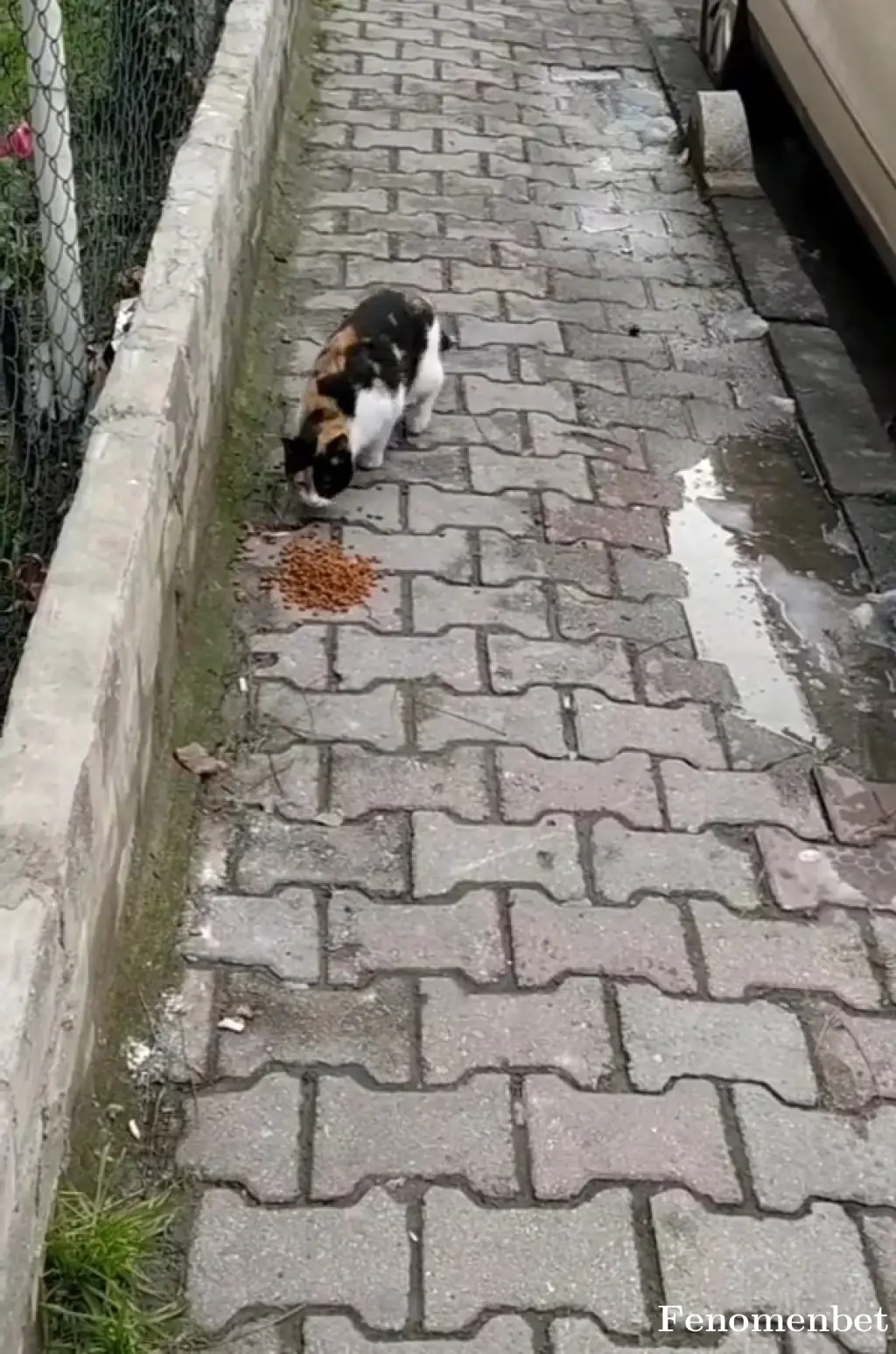 Derya215 tarafından paylaşılan fotoğraf