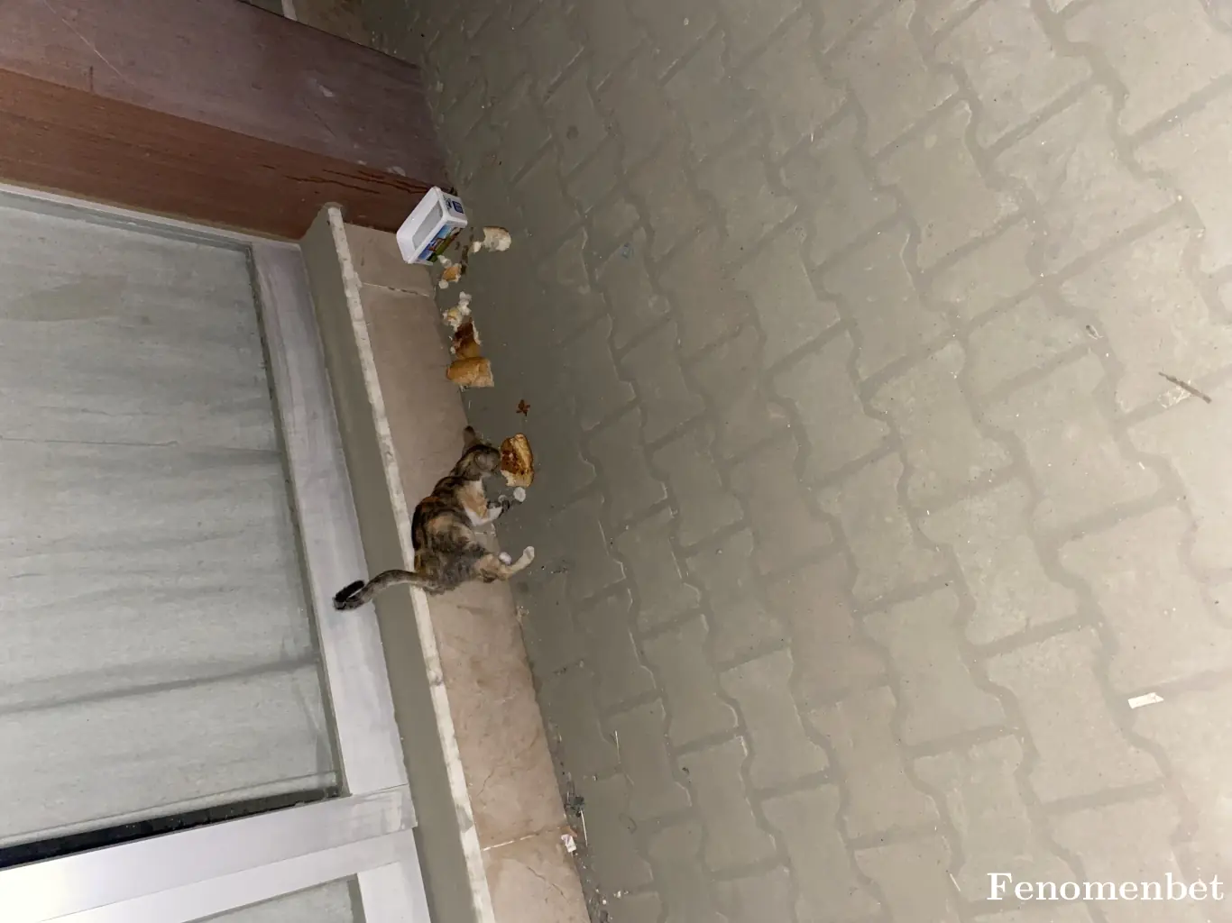 Berz1 tarafından paylaşılan fotoğraf