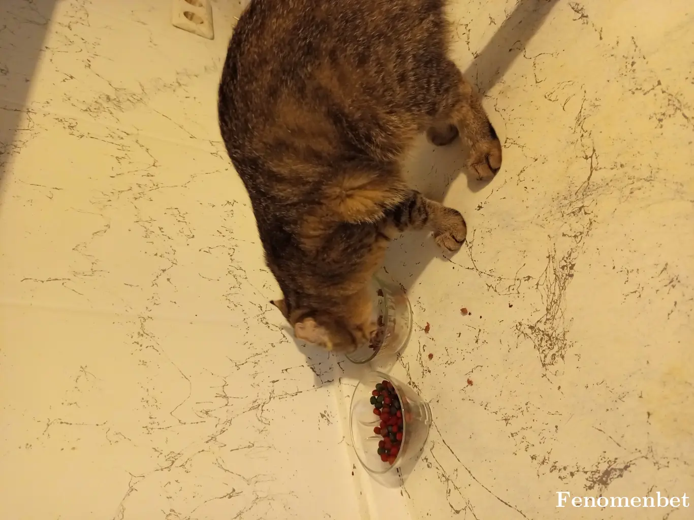 Buraqunall tarafından paylaşılan fotoğraf