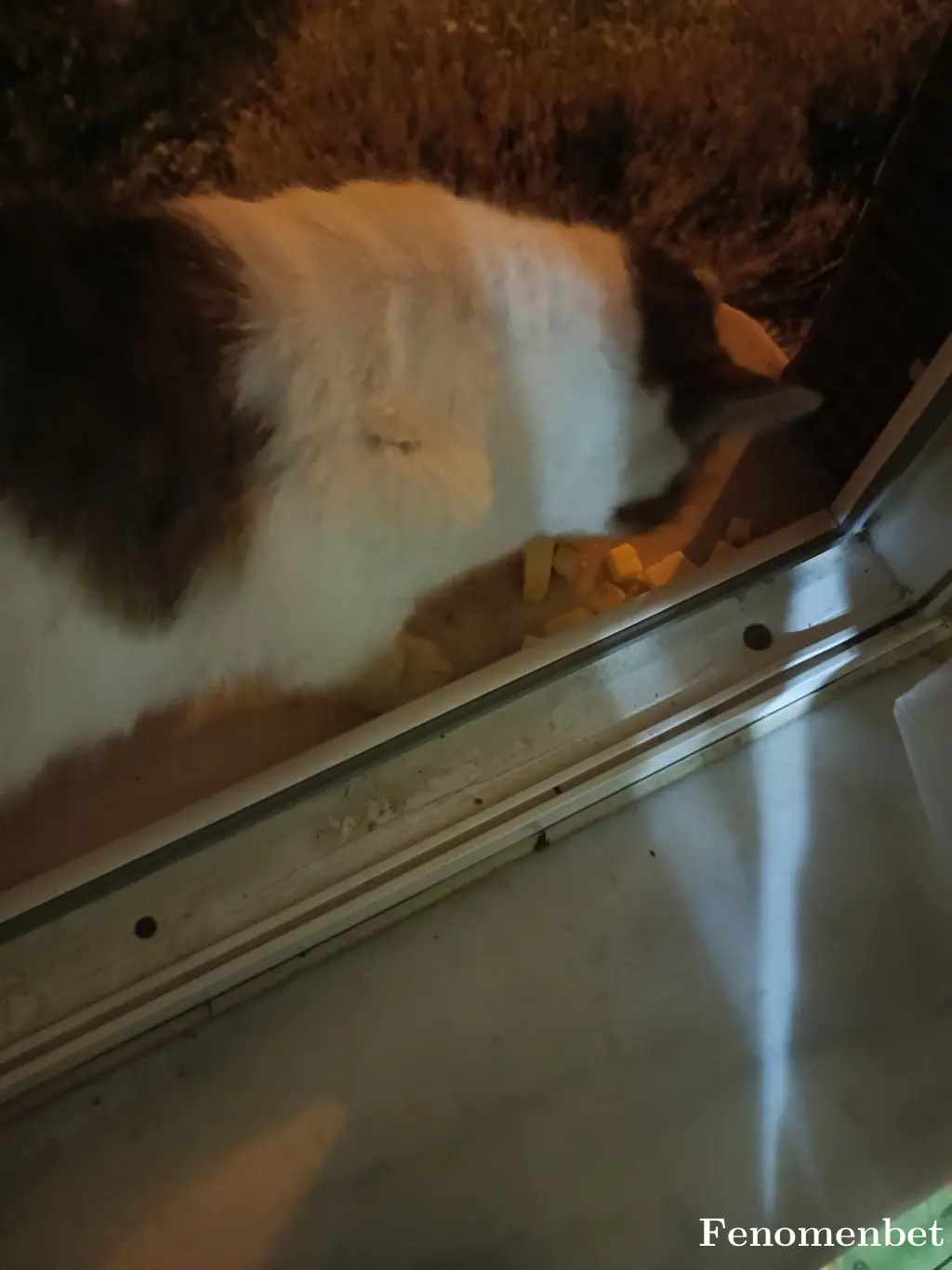 Selcuk20 tarafından paylaşılan fotoğraf