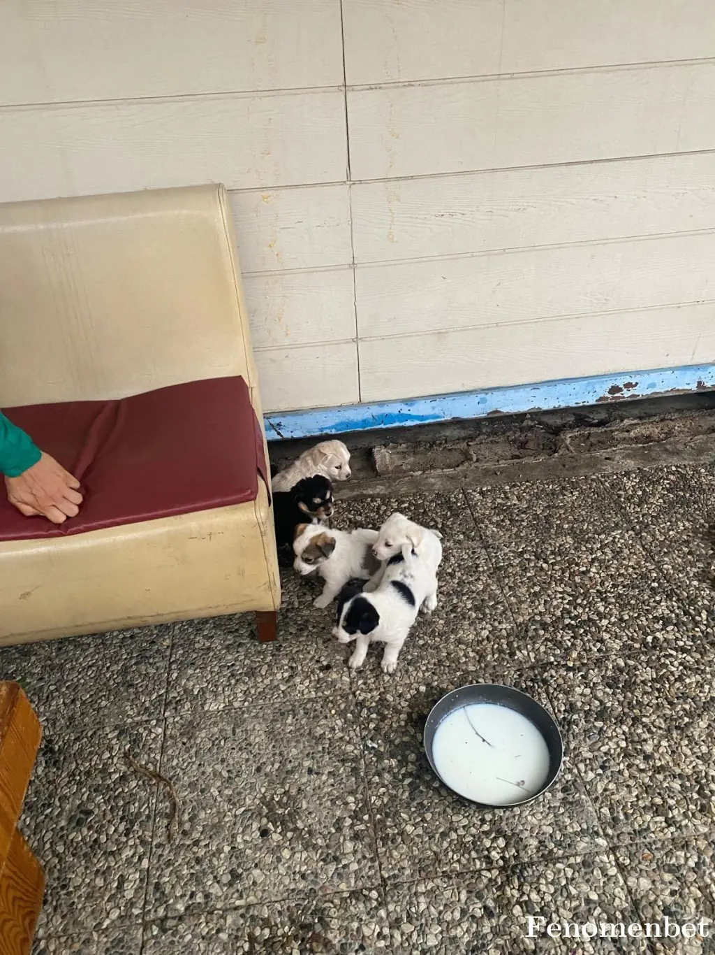 Poyraz2535  tarafından paylaşılan fotoğraf