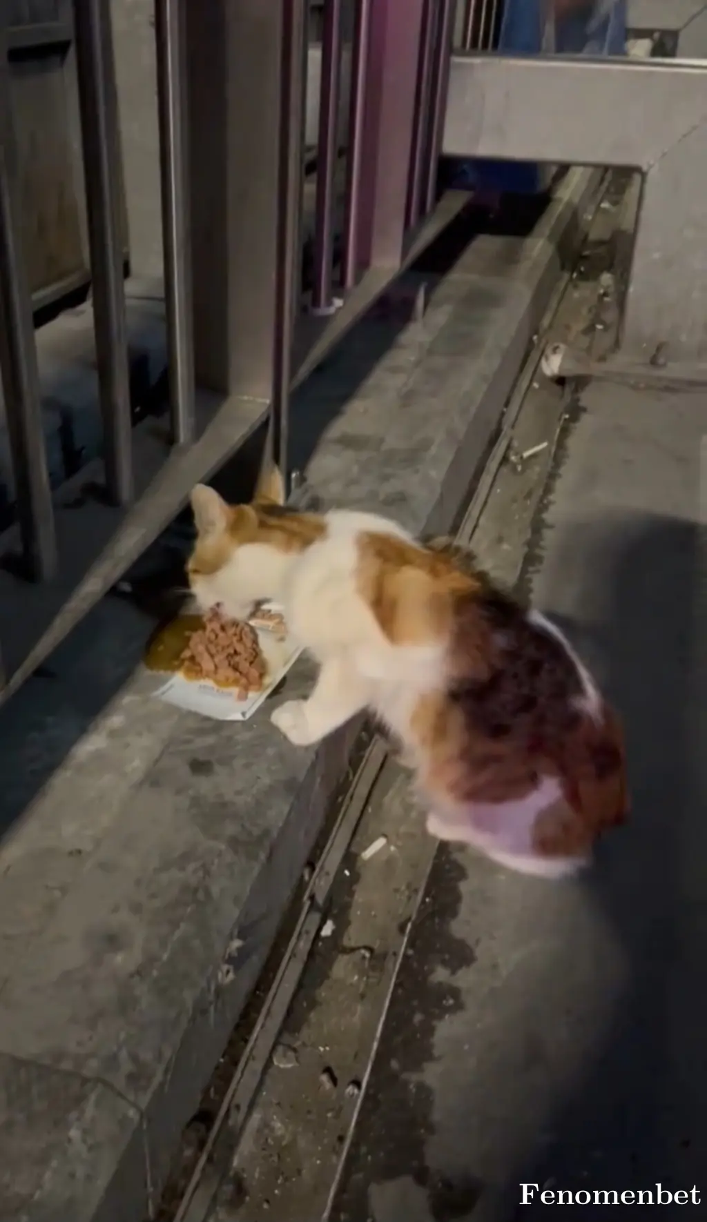 Kingof11 tarafından paylaşılan fotoğraf