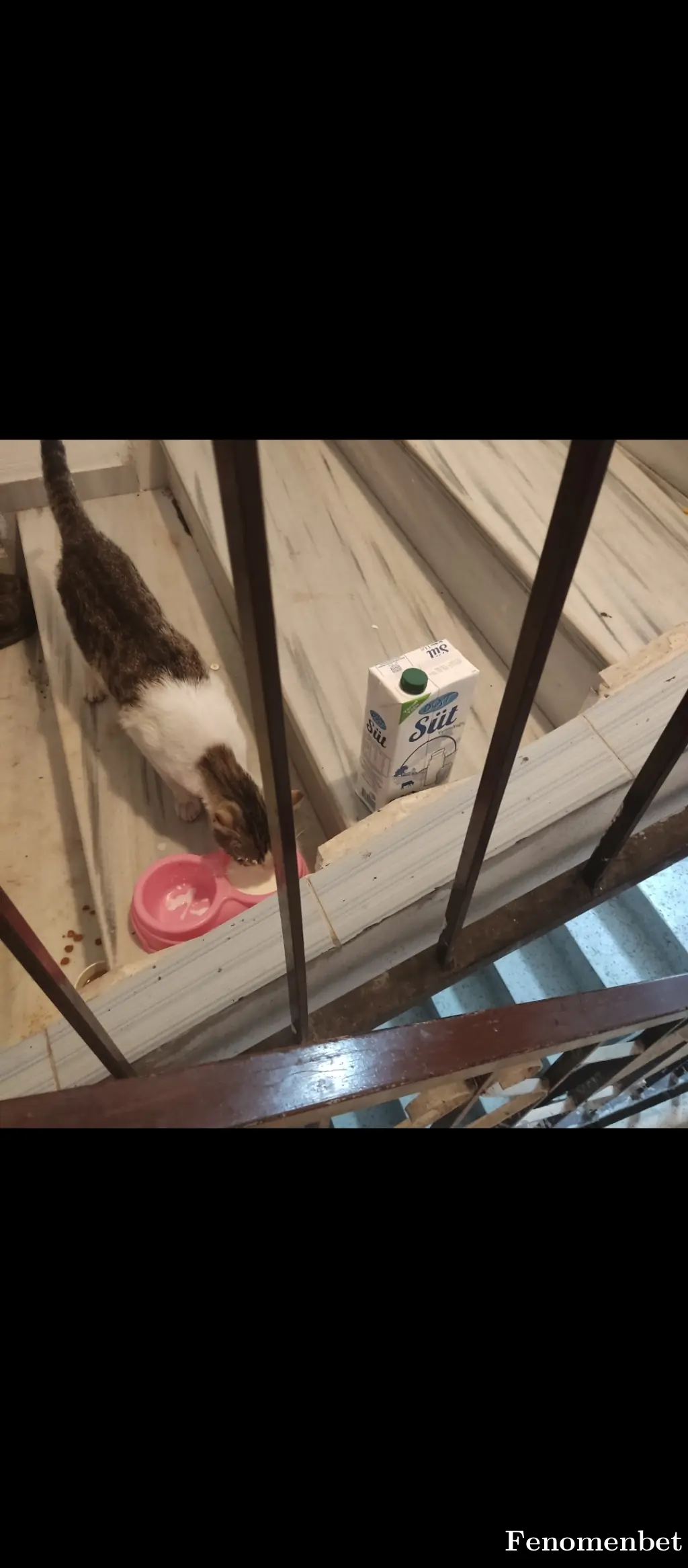 cihanben tarafından paylaşılan fotoğraf